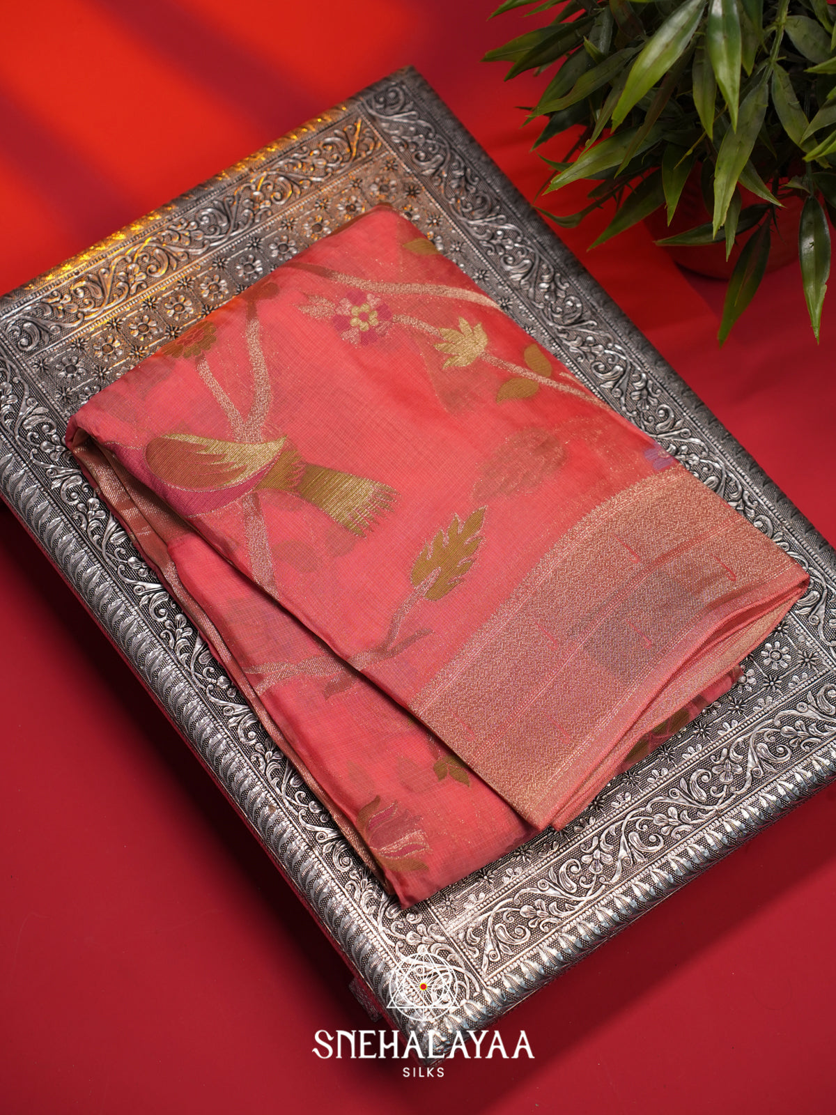 Pink Kota Saree
