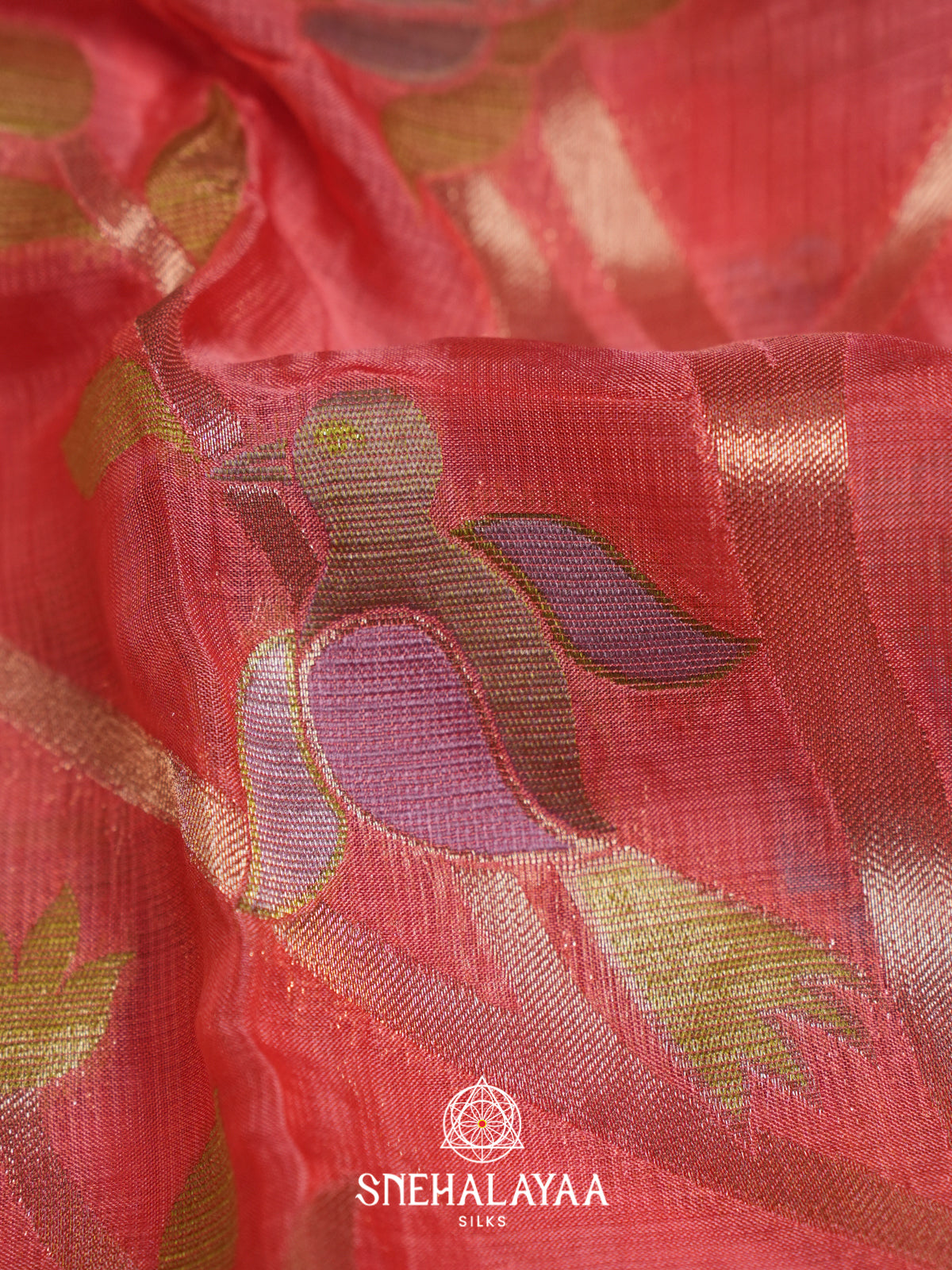 Pink Kota Saree