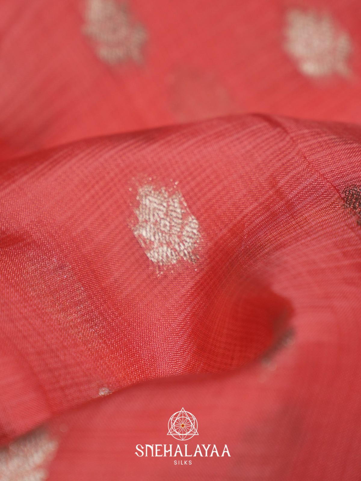 Pink Kota Saree
