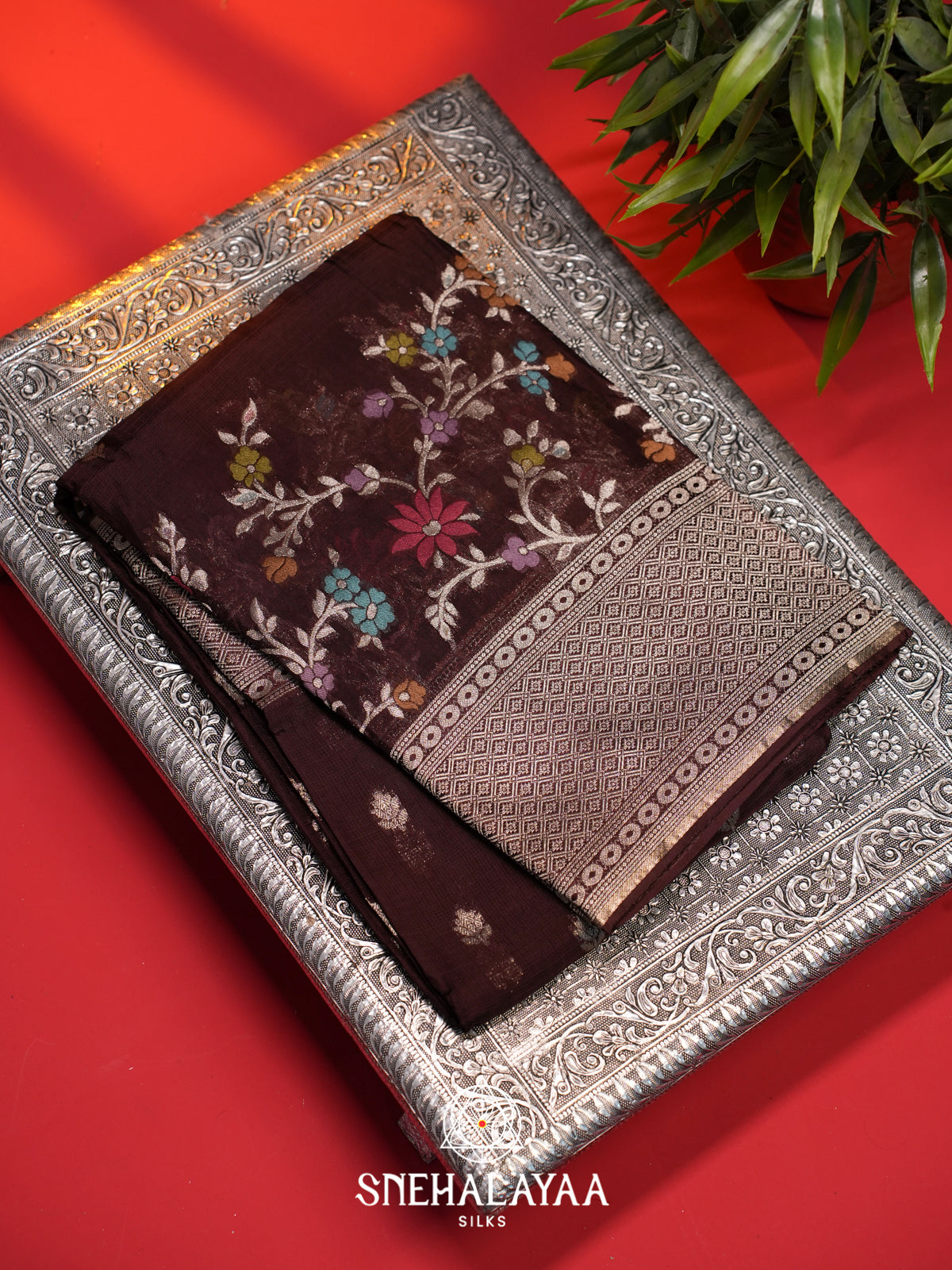Coffee Brown Kota Saree