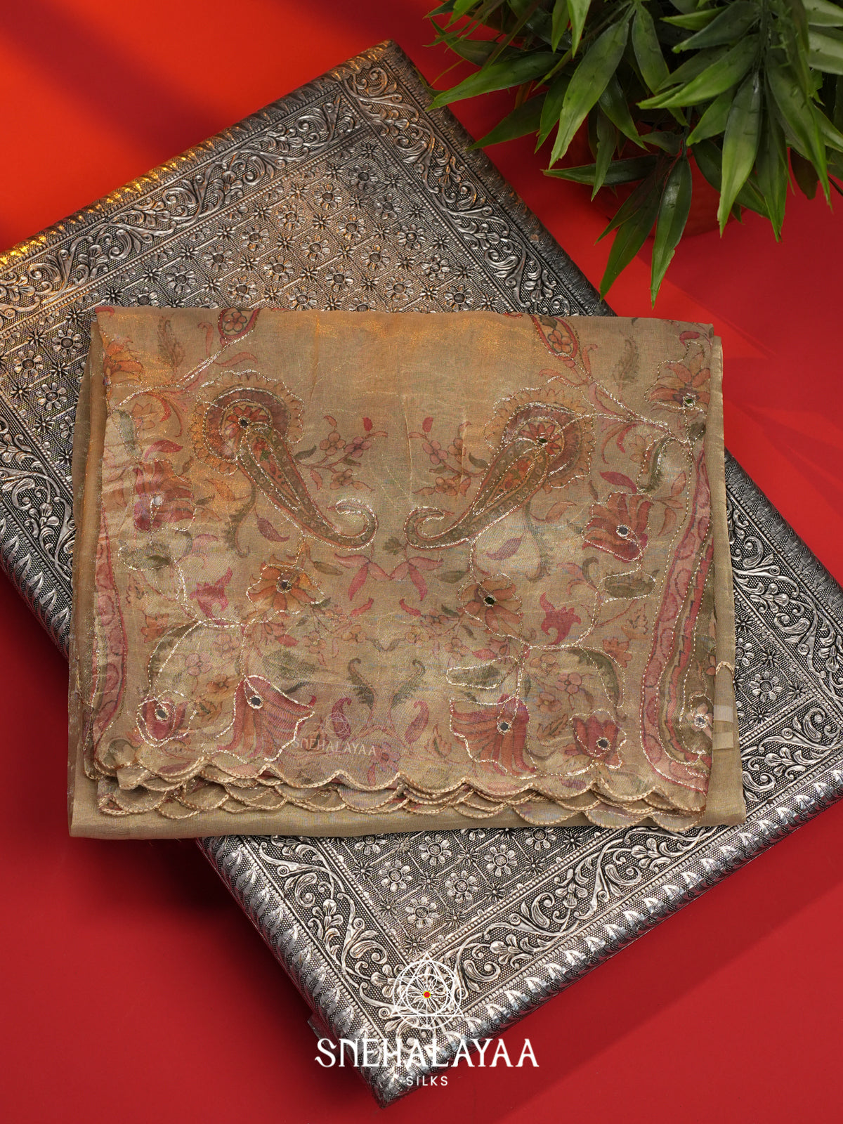 Beige Tissue Saree