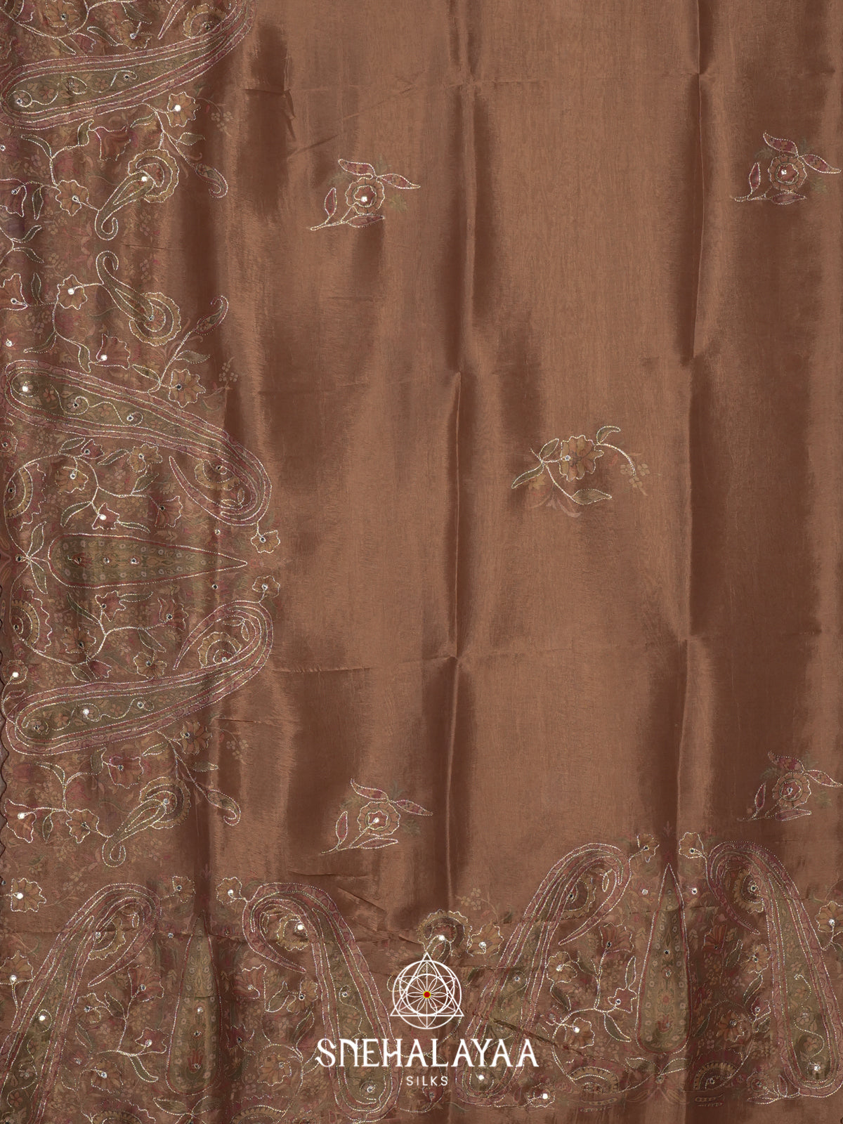 Beige Tissue Saree