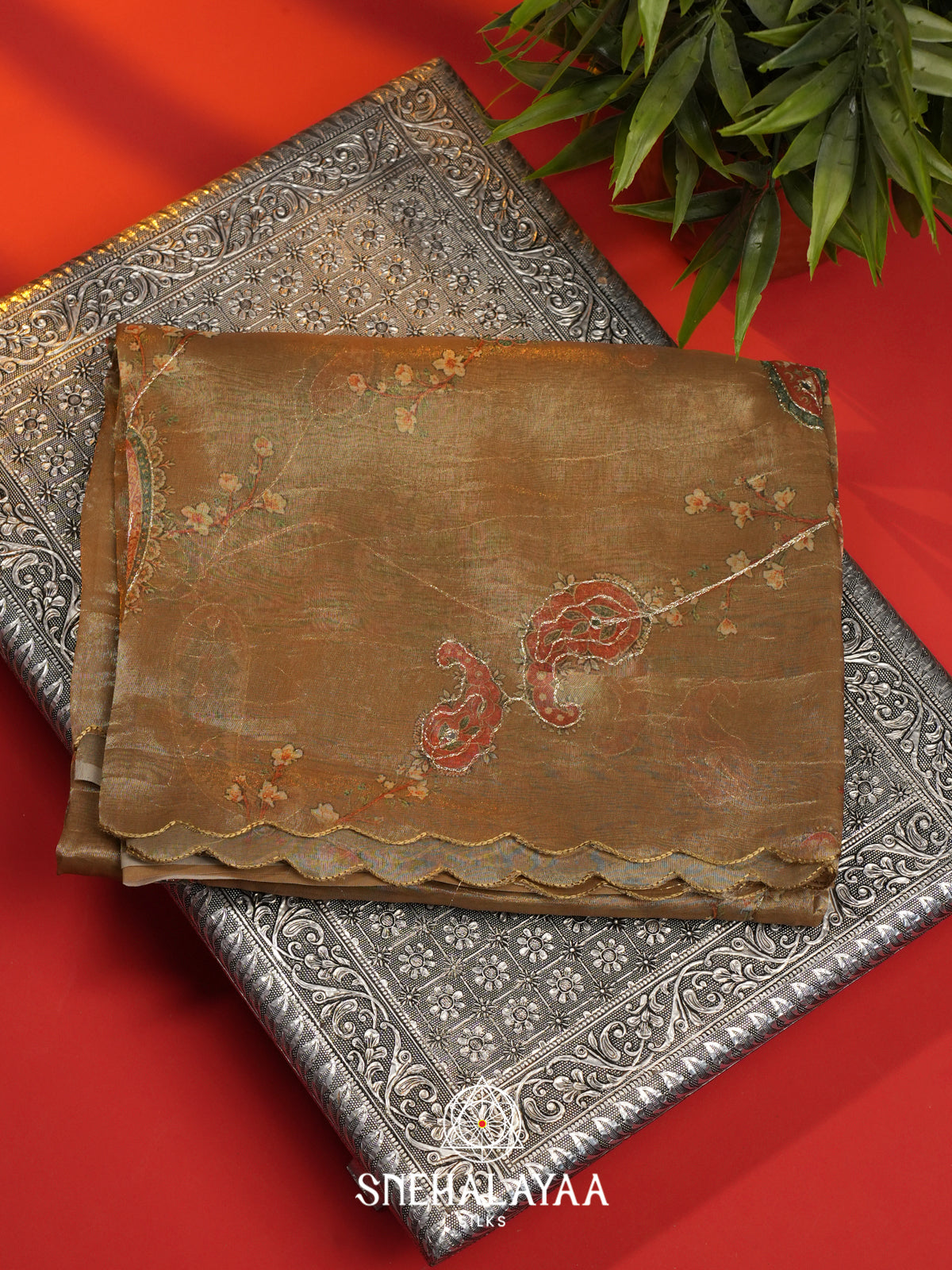 Beige Tissue Saree