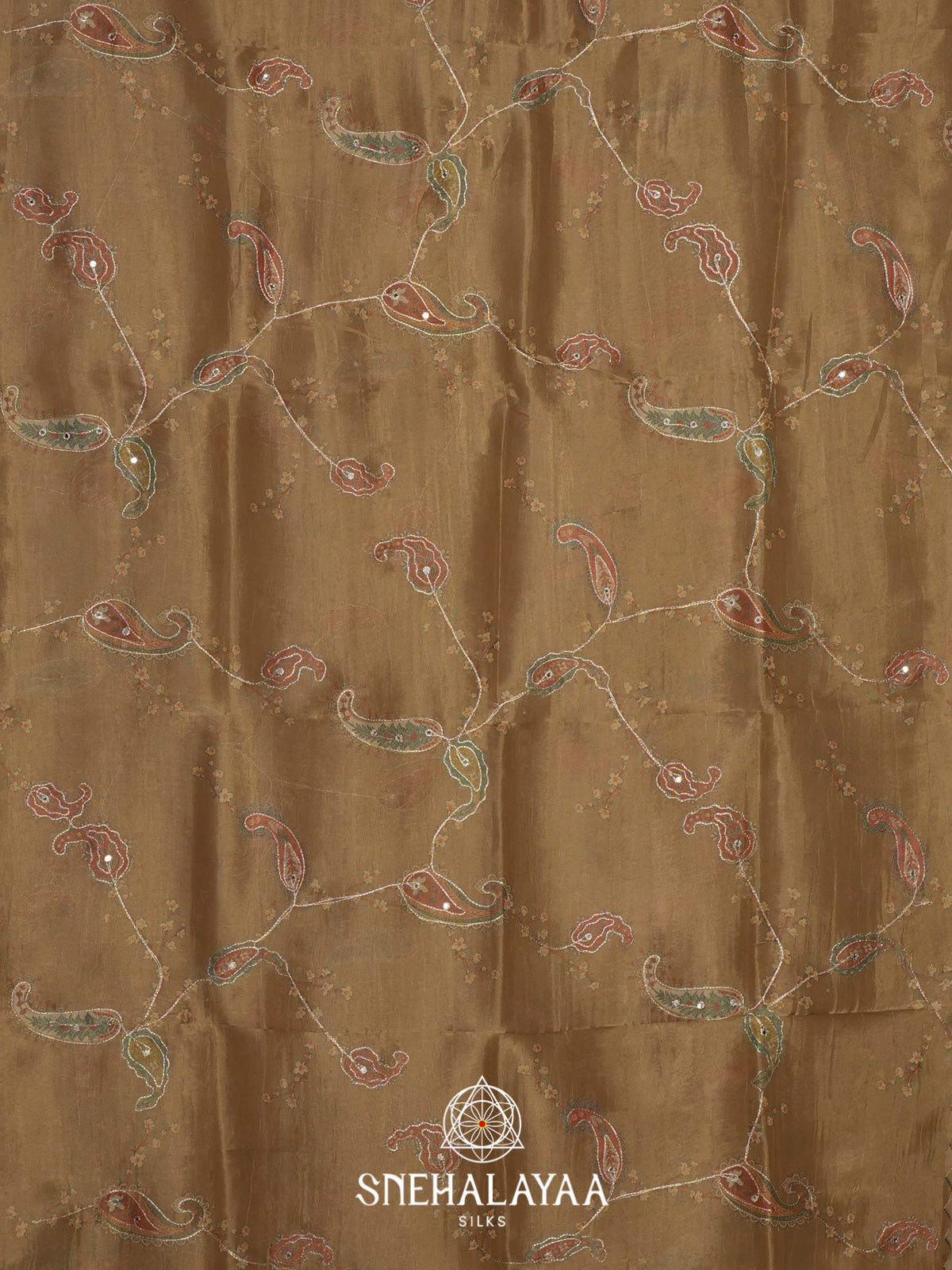 Beige Tissue Saree