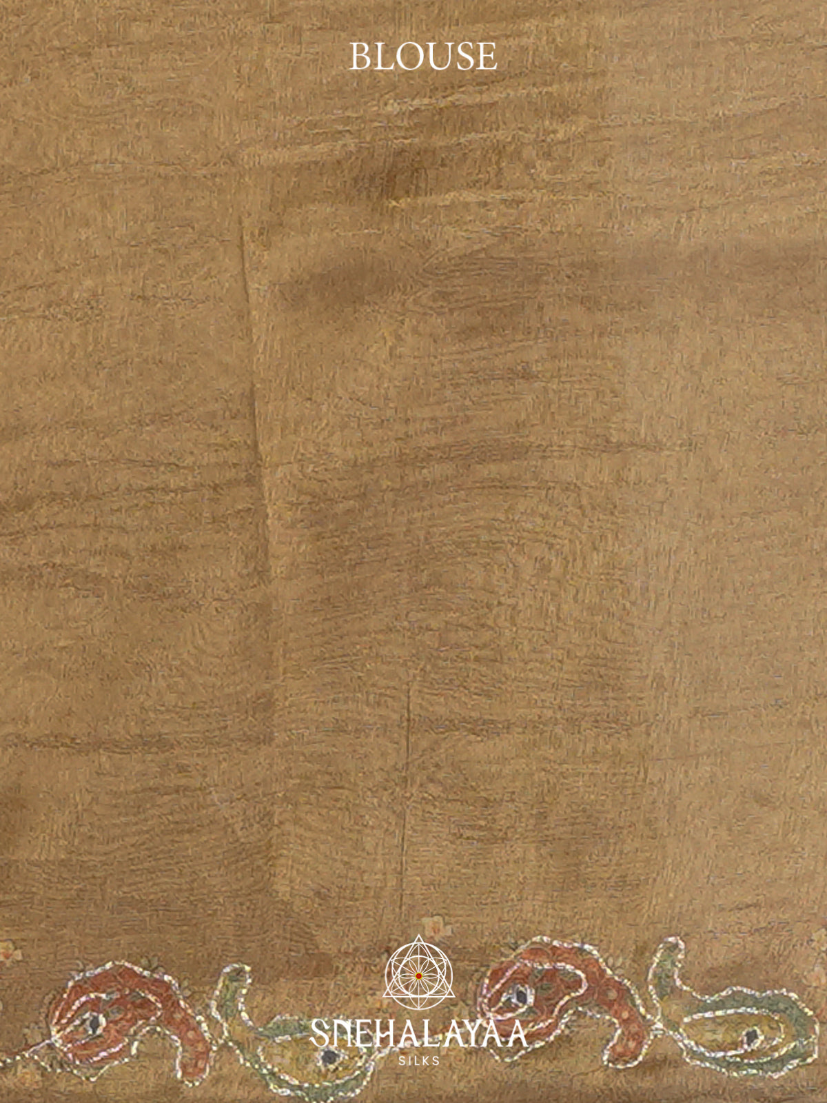 Beige Tissue Saree
