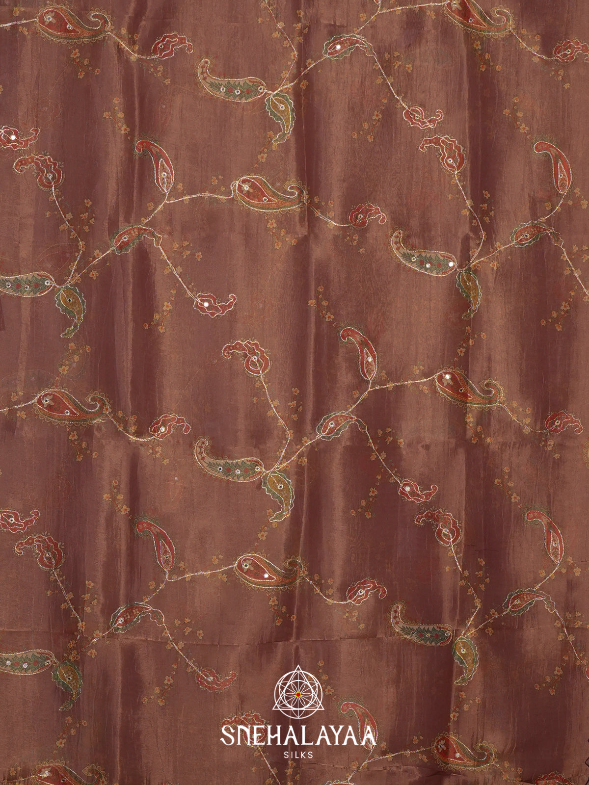 Brown Tissue Saree