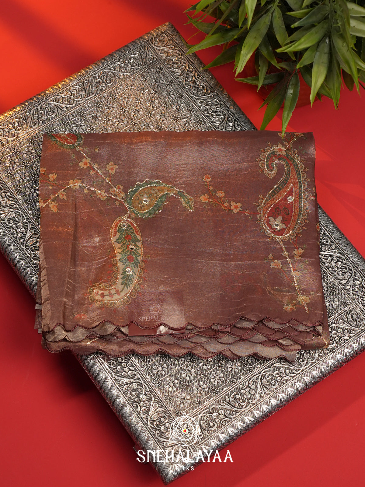 Brown Tissue Saree