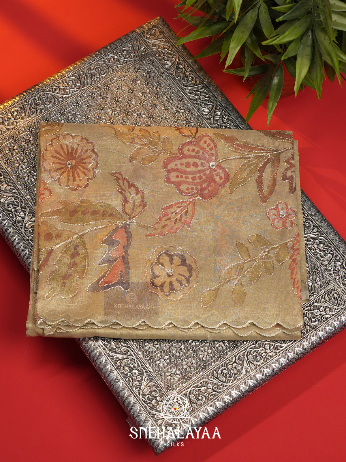 Beige Tissue Saree