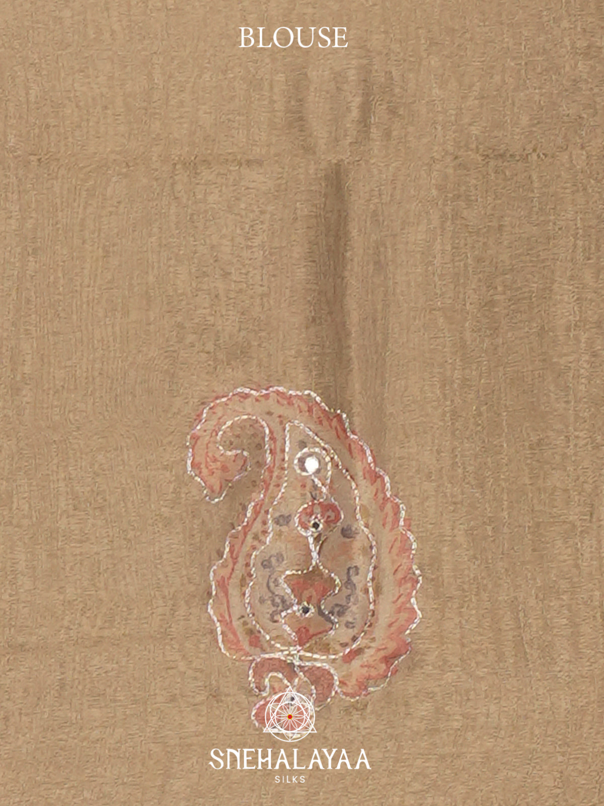 Beige Tissue Saree