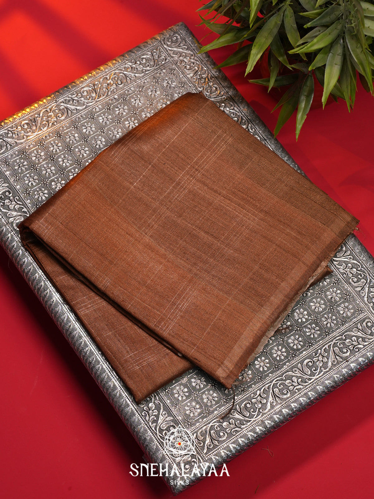 Brown Tussar Saree