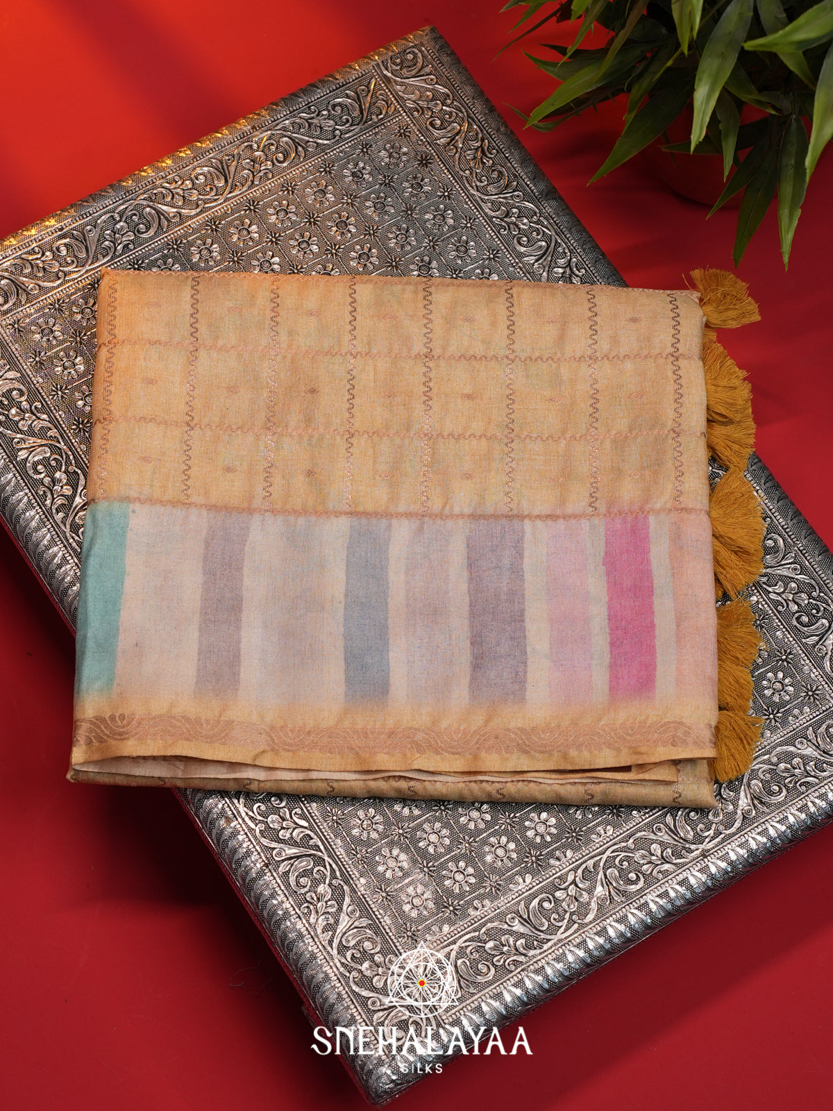 Beige Tussar Saree