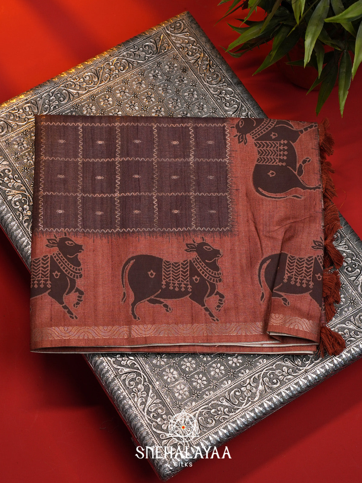 Brown Tussar Saree