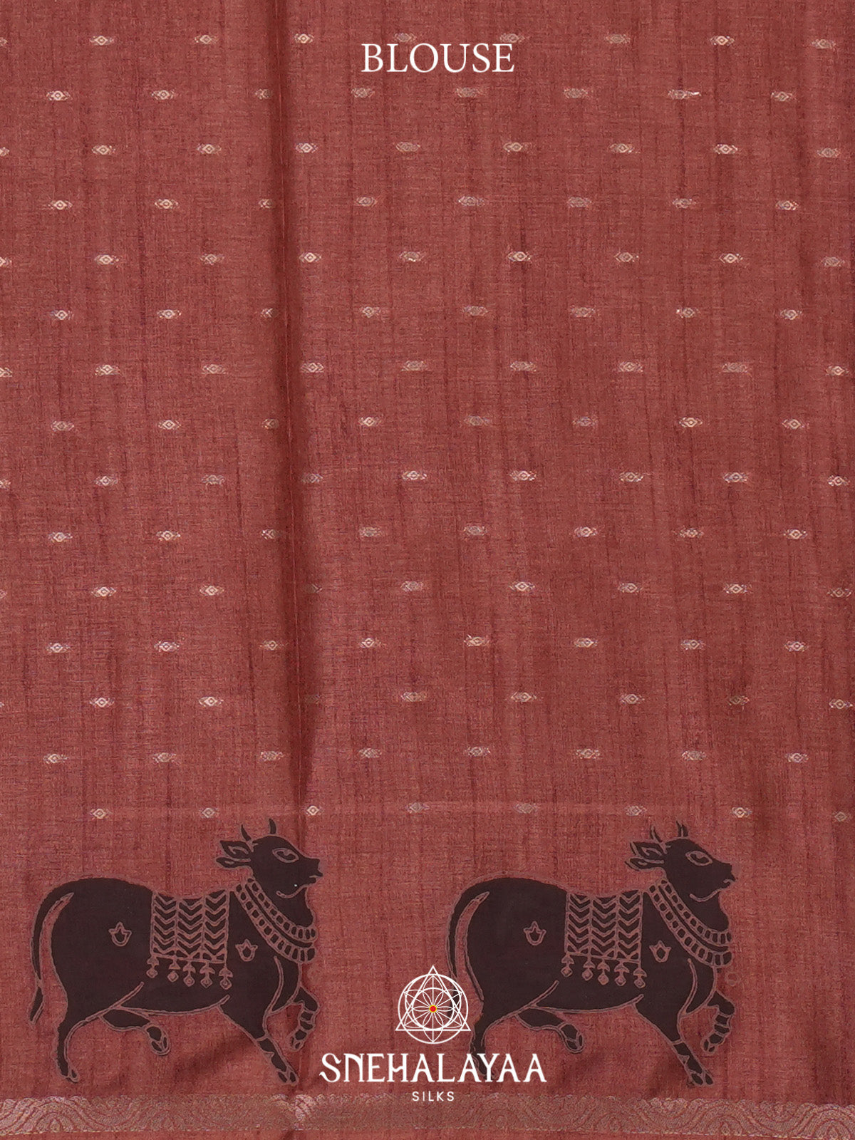 Brown Tussar Saree