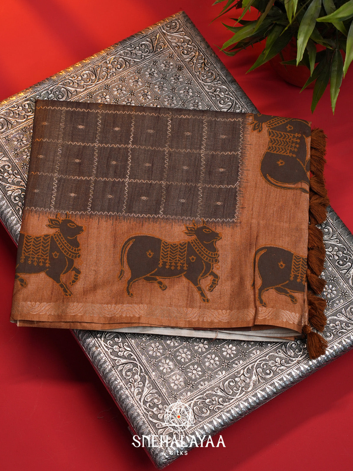 Brown Tussar Saree