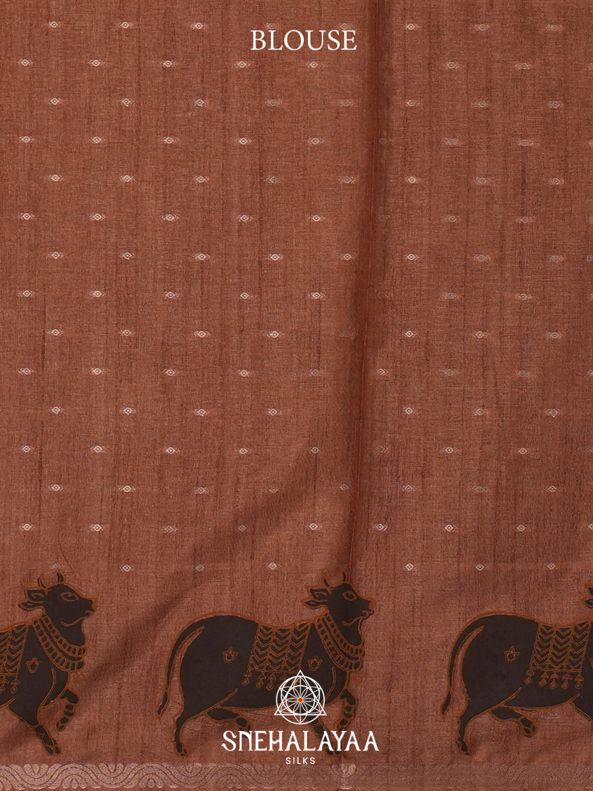 Brown Tussar Saree