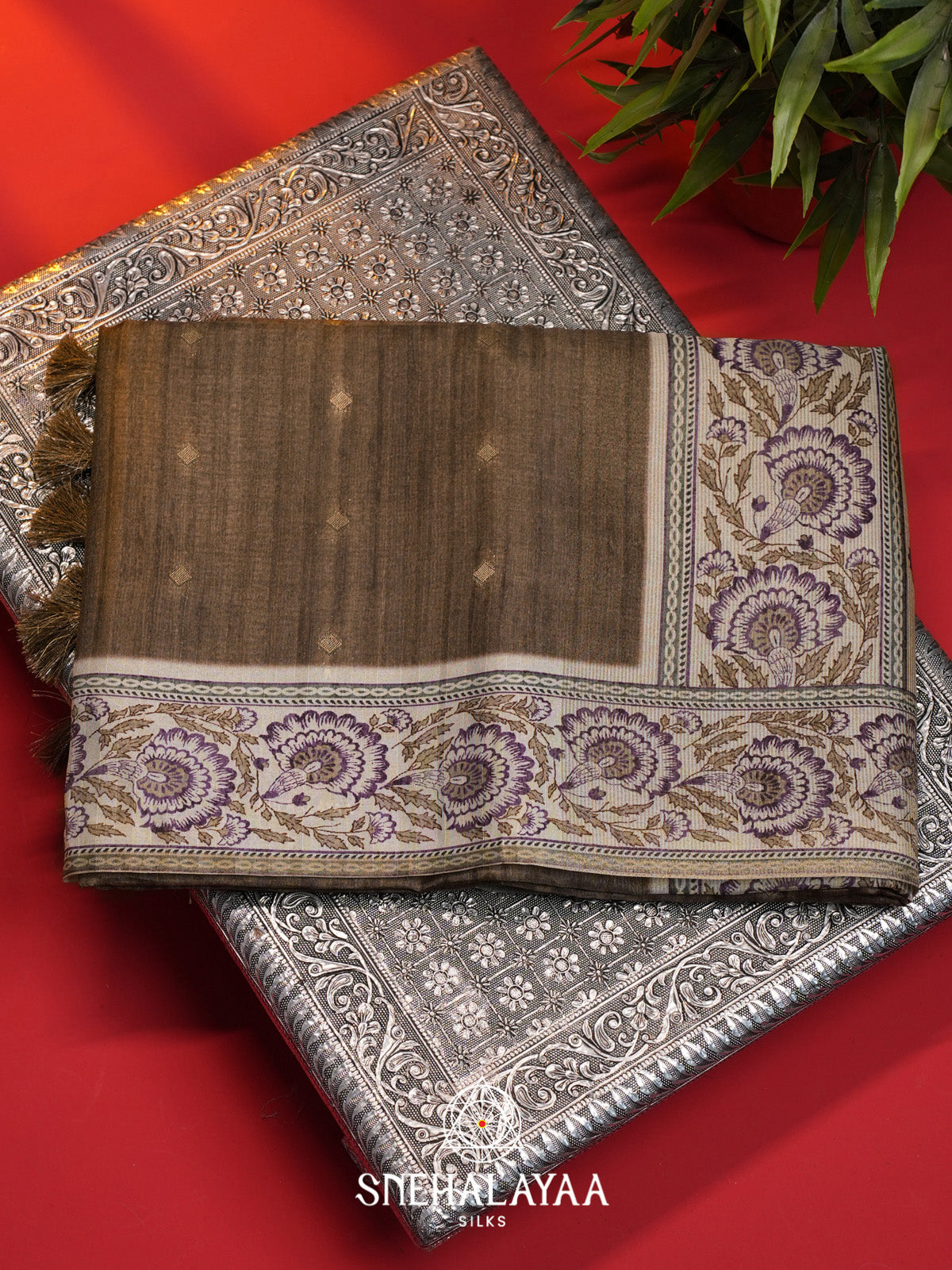 Taupe Brown Tussar Saree