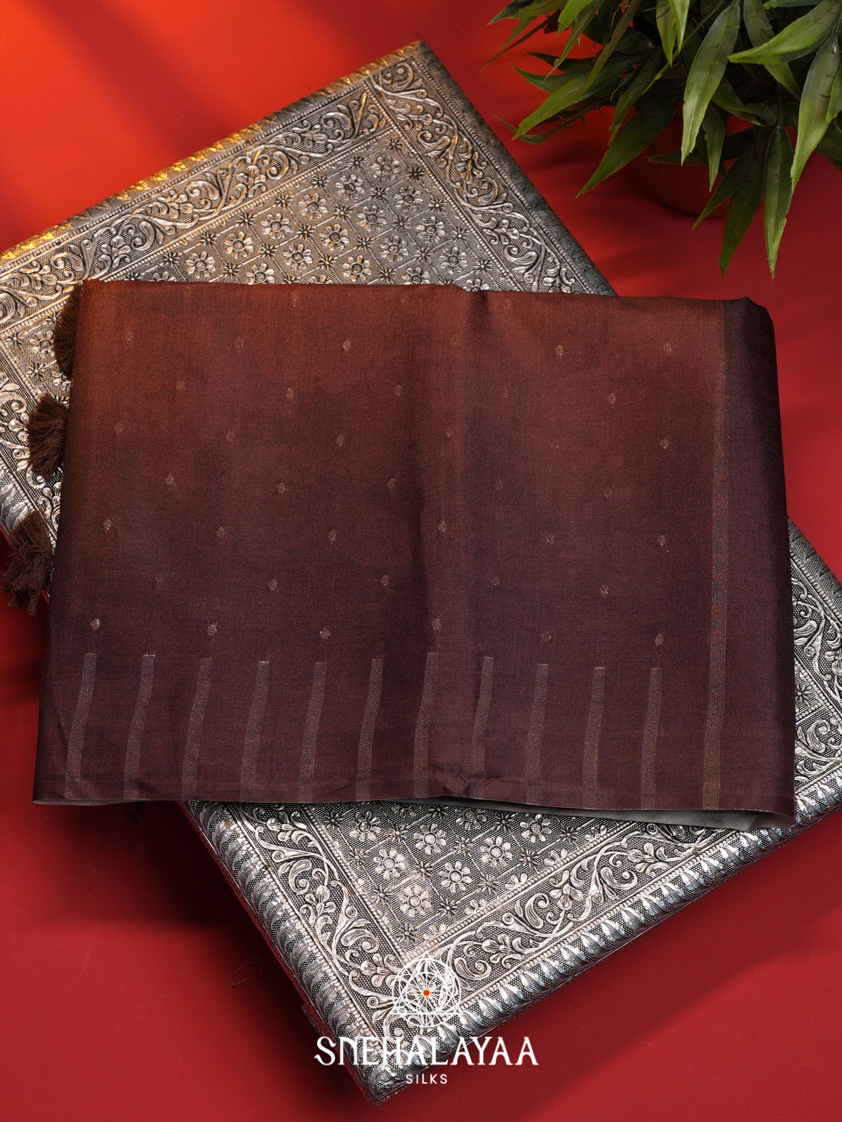 Brown Tussar Saree