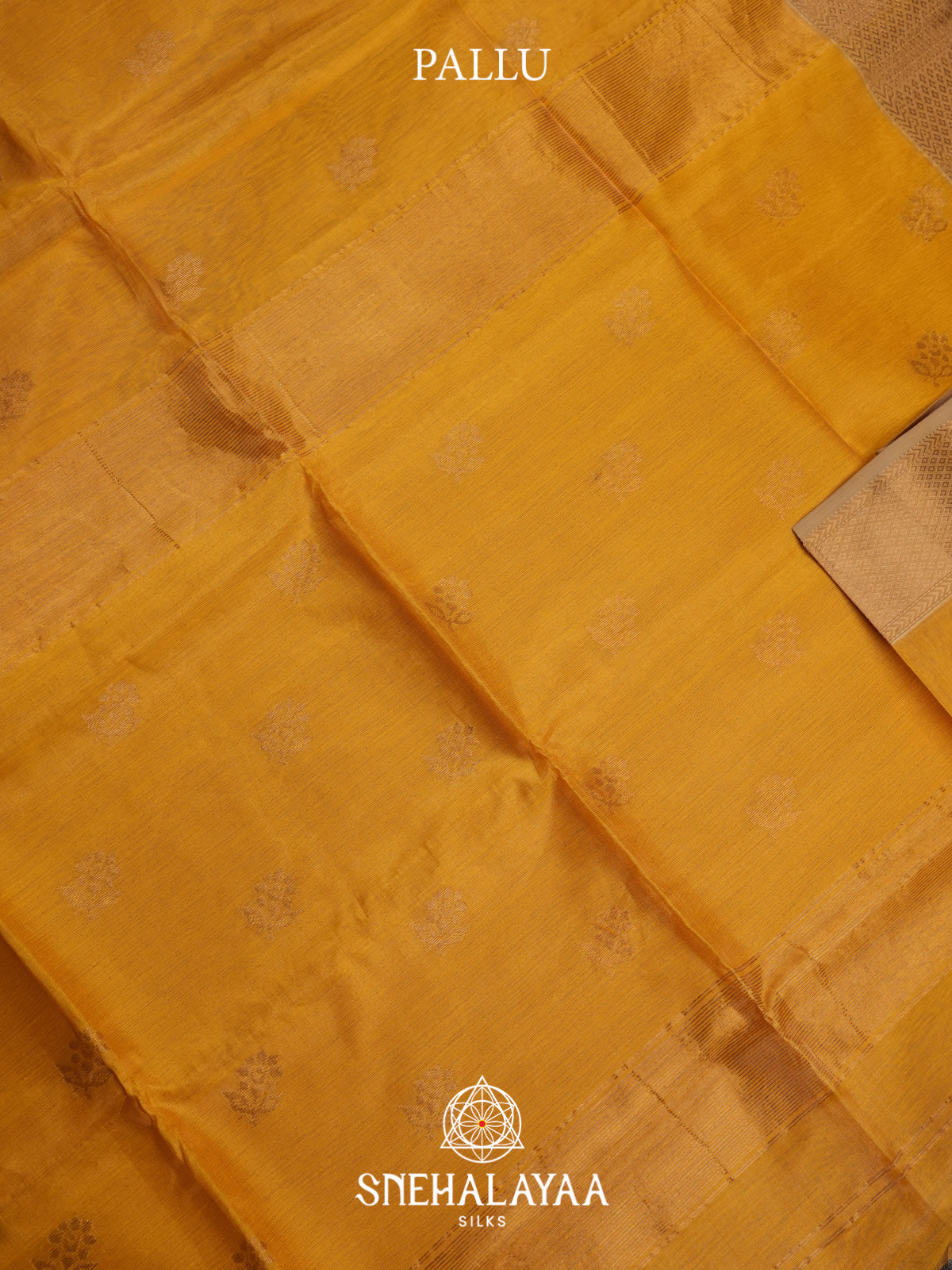 Yellow Maheshwari Silk Cotton Saree