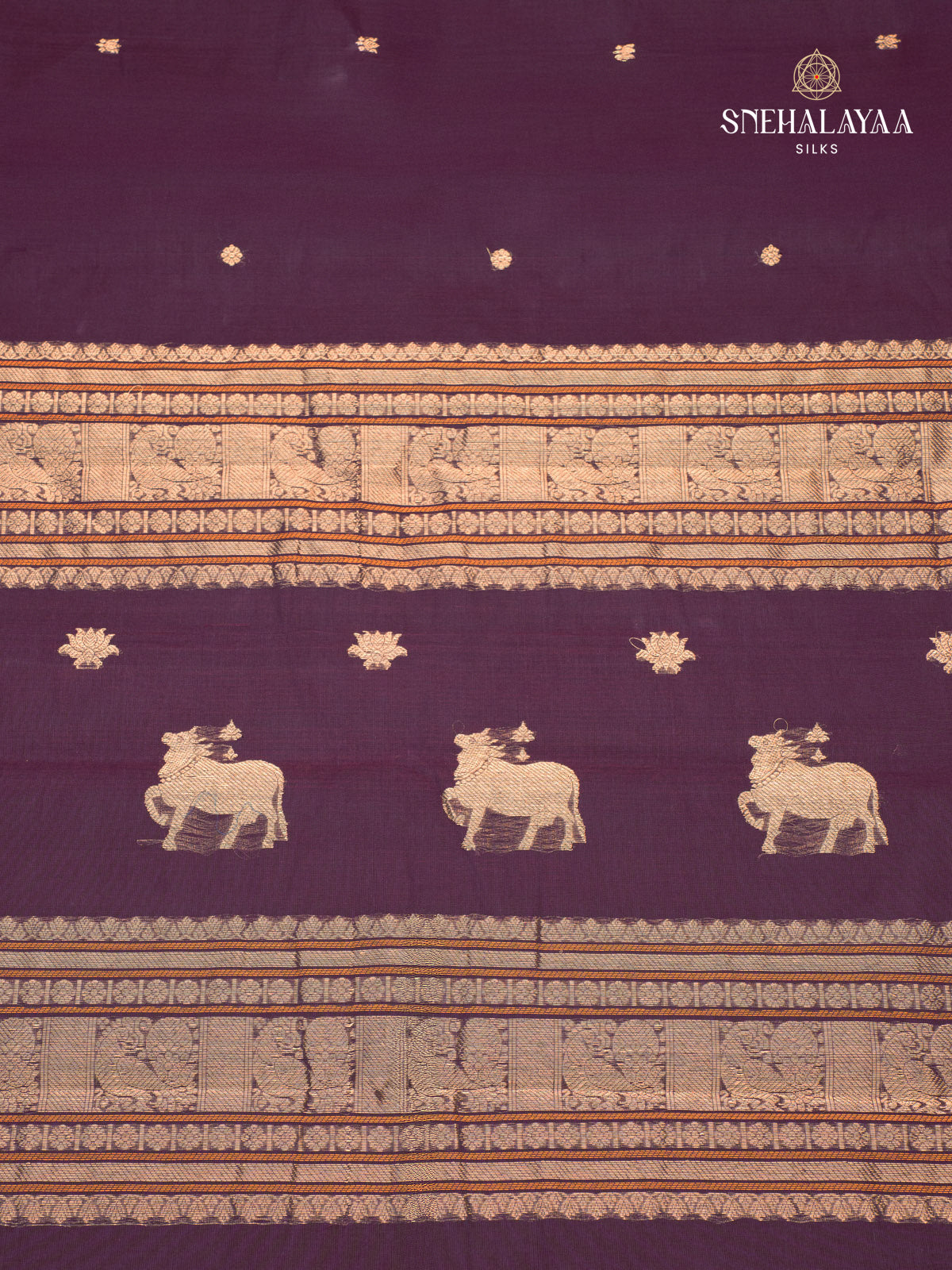 Purple Kanchi Cotton Saree