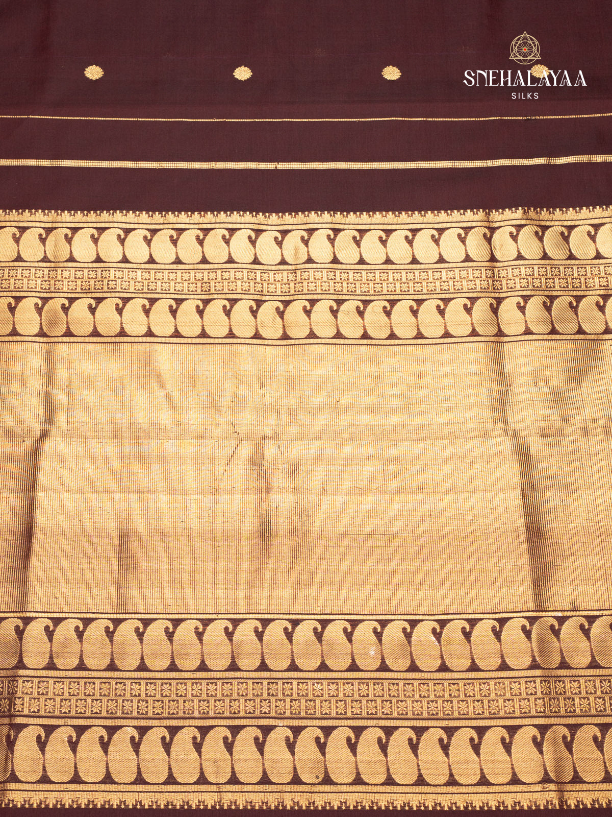 Brown Kanchi Silk Cotton Saree