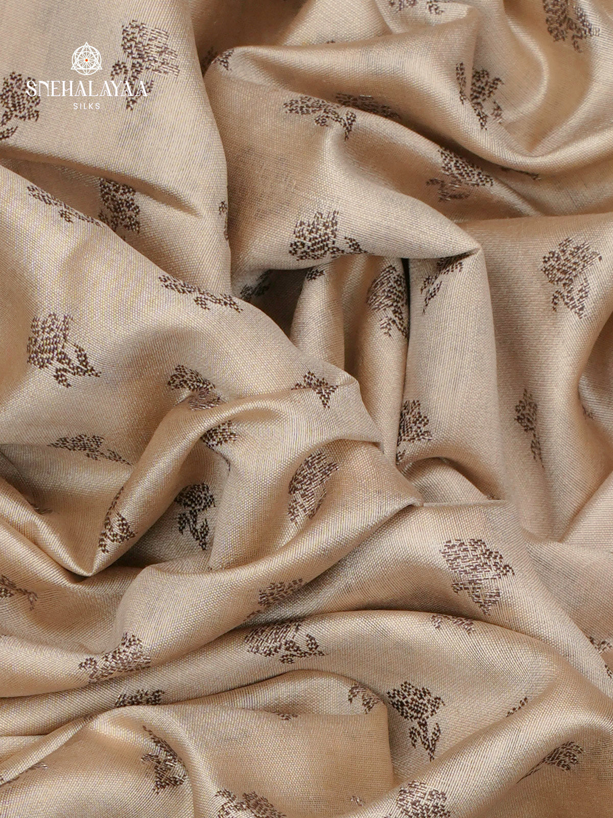 Beige Banaras Chiniya Silk Saree