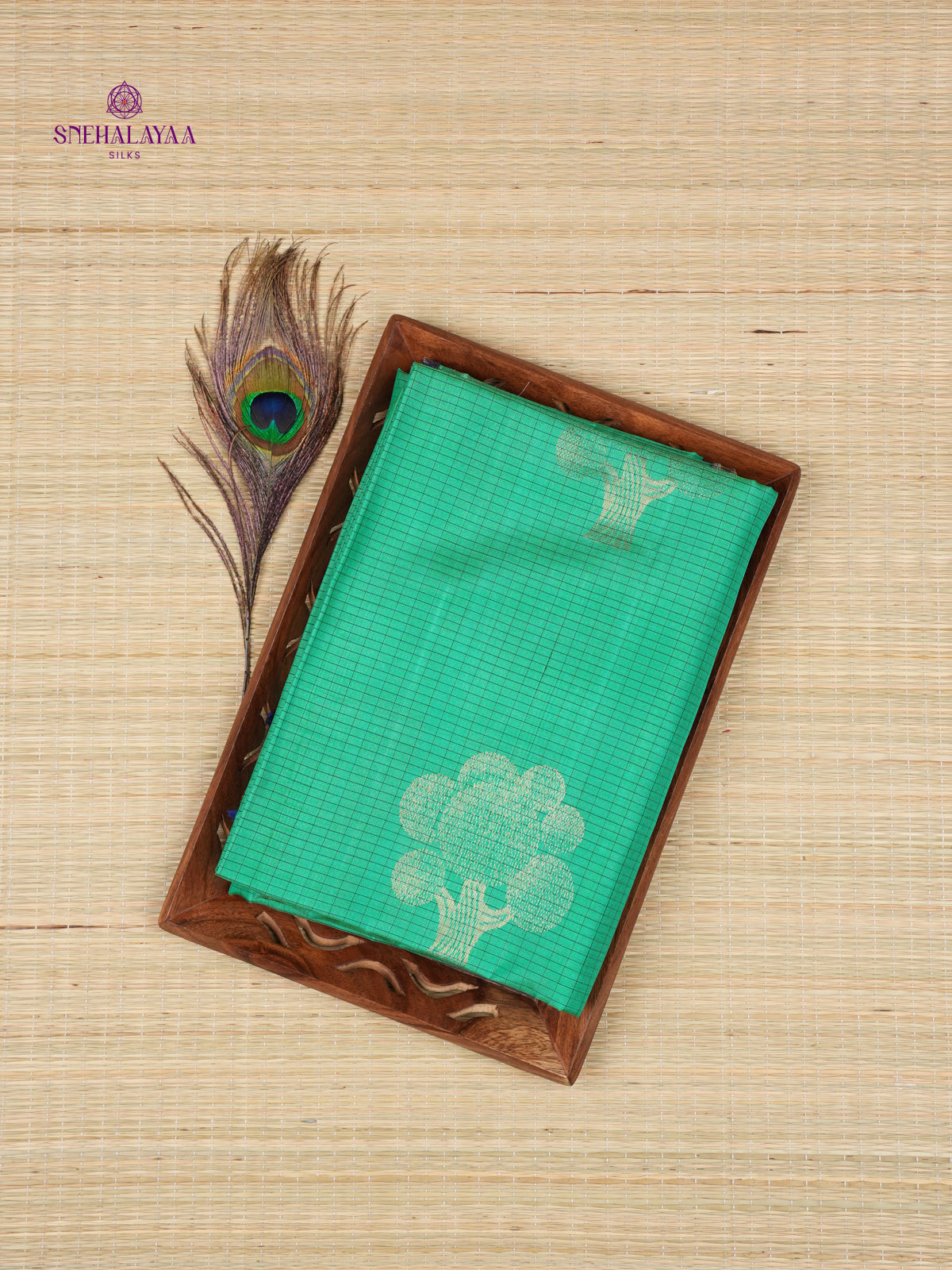 Seafoam Green Borderless Knjivaram Soft Silk Saree
