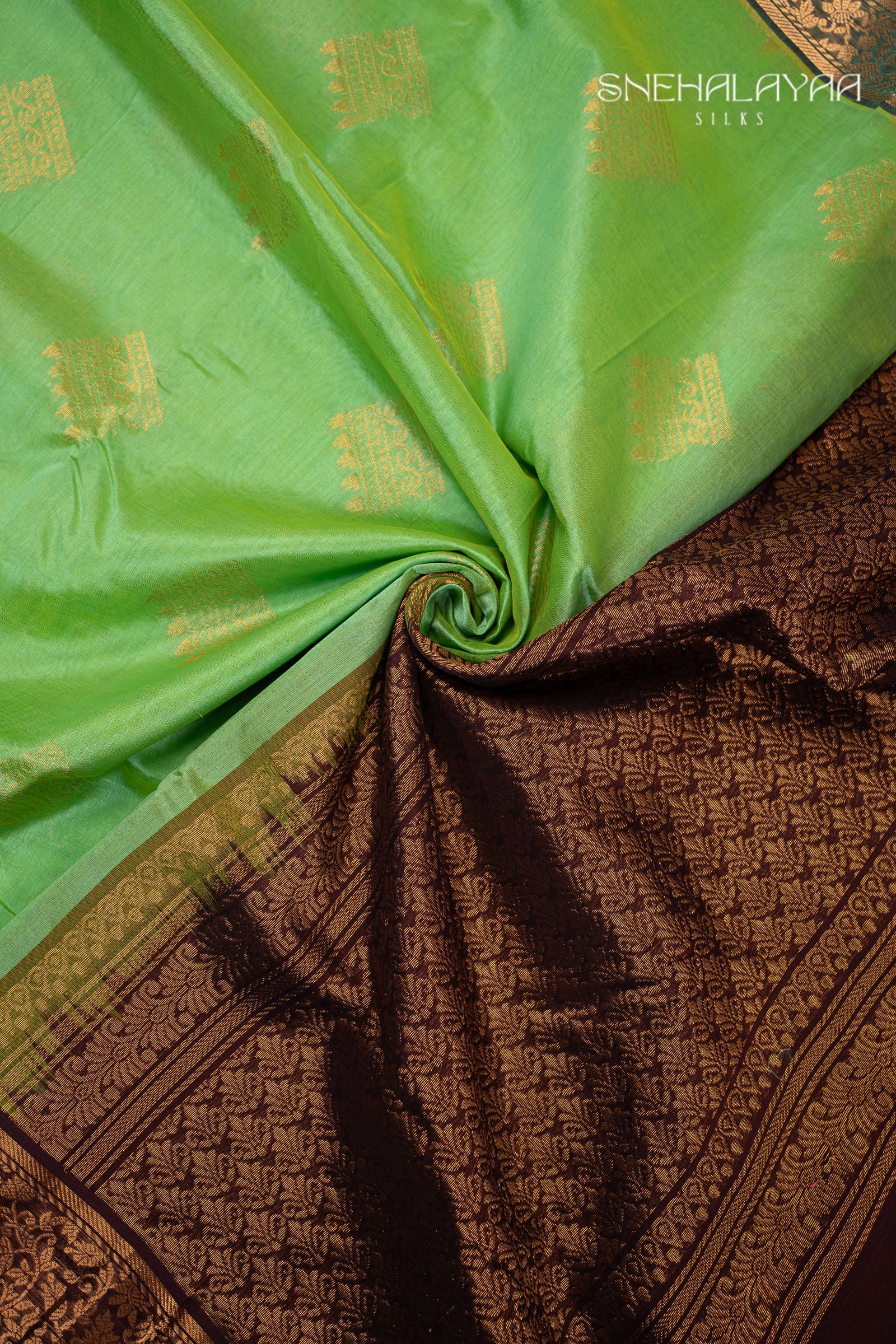Parakeet Green Silk Cotton Saree
