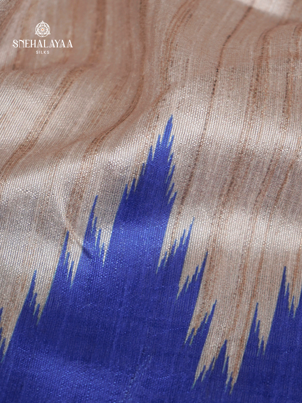 Beige With Blue Border Tussar Saree