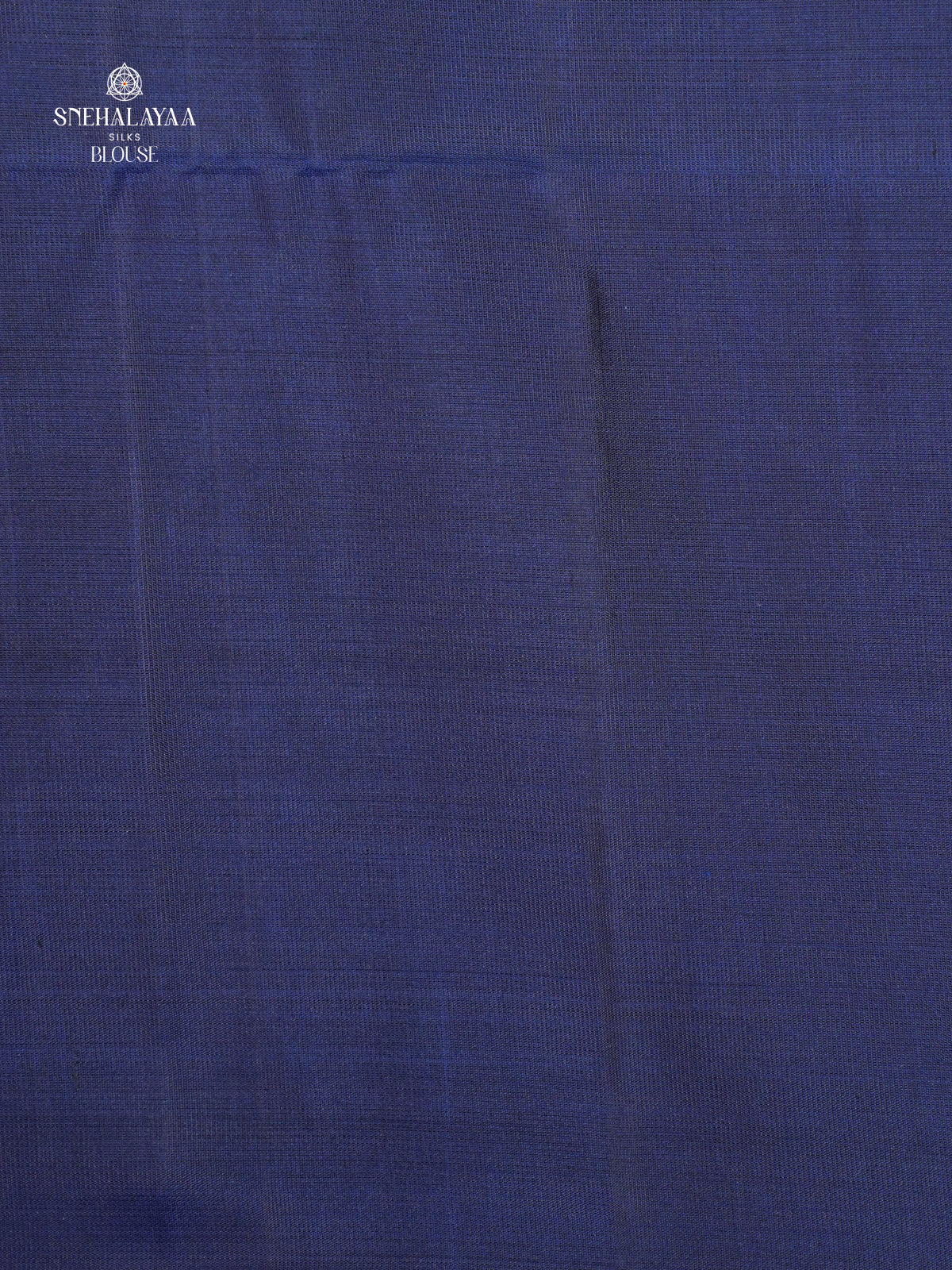 Seafoam Green Borderless Knjivaram Soft Silk Saree