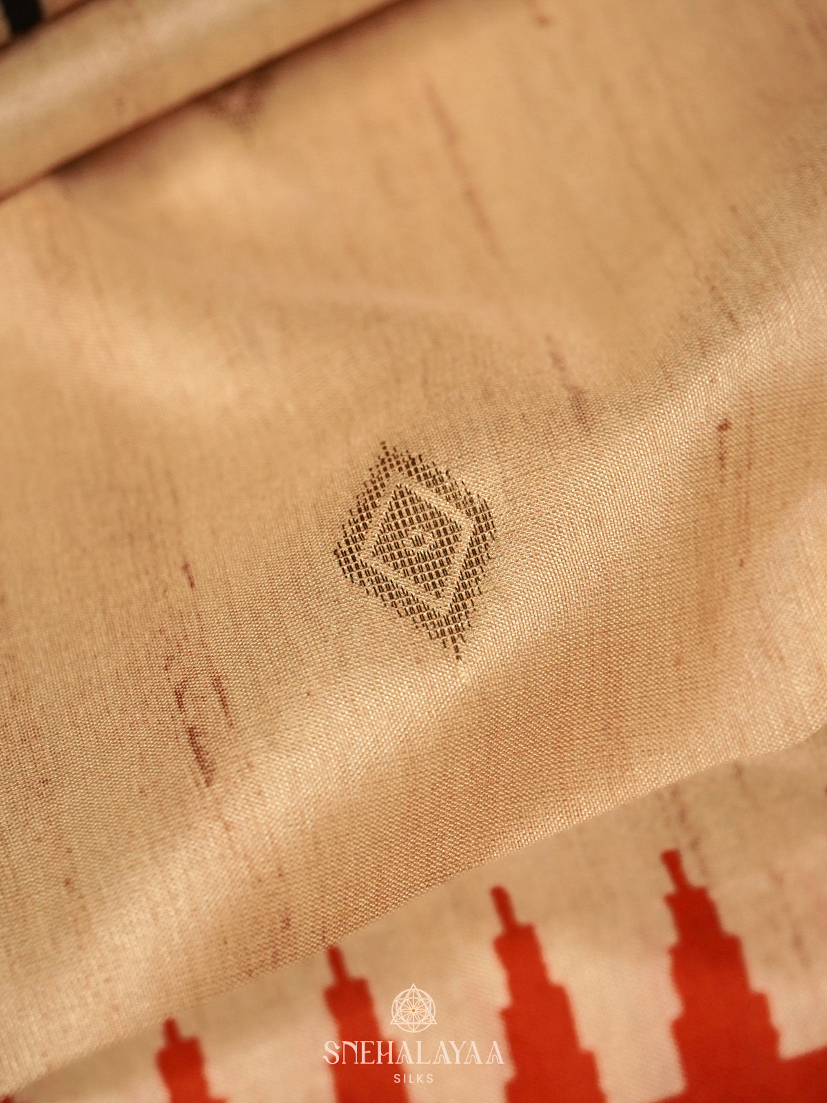 Cream With Black Border Tussar Saree