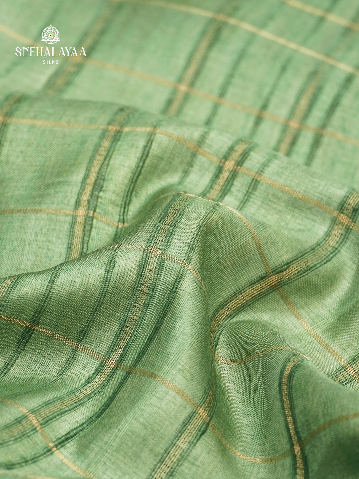 Pastel Green Munga Tussar Embroidery Saree