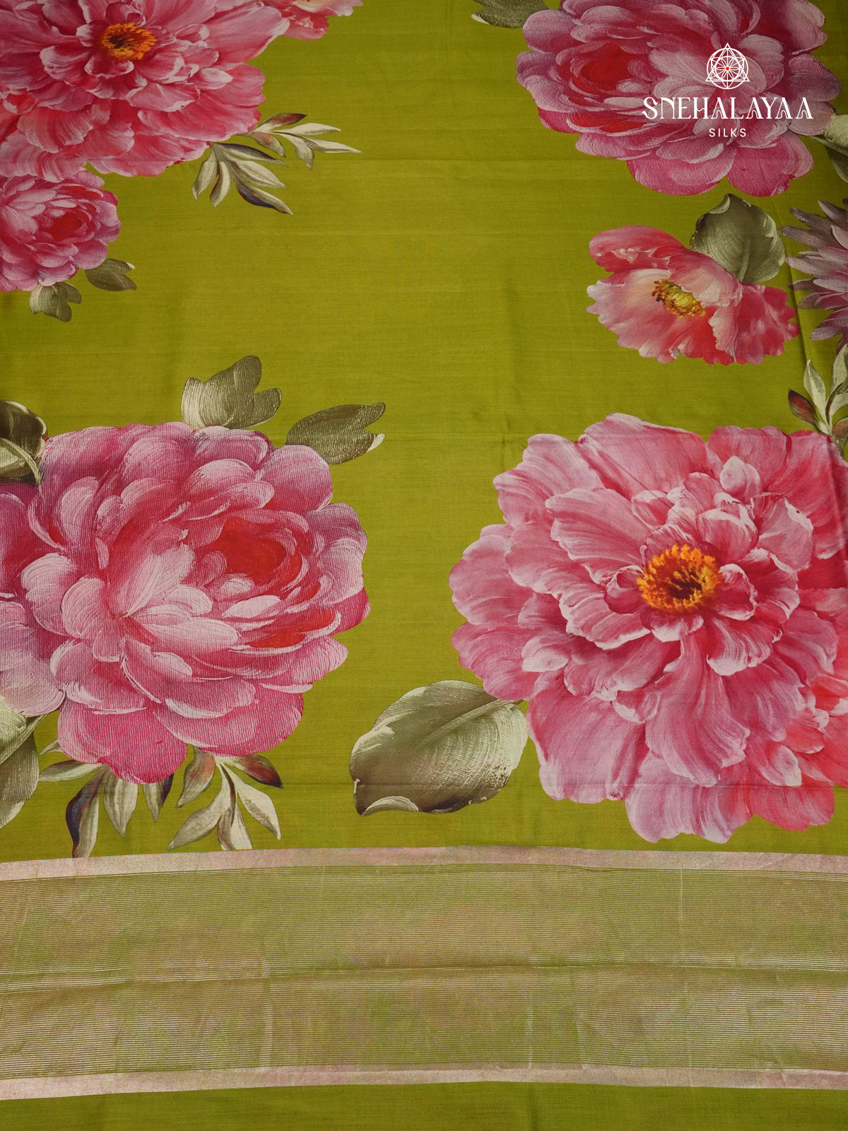 Green Chiniya Silk Saree