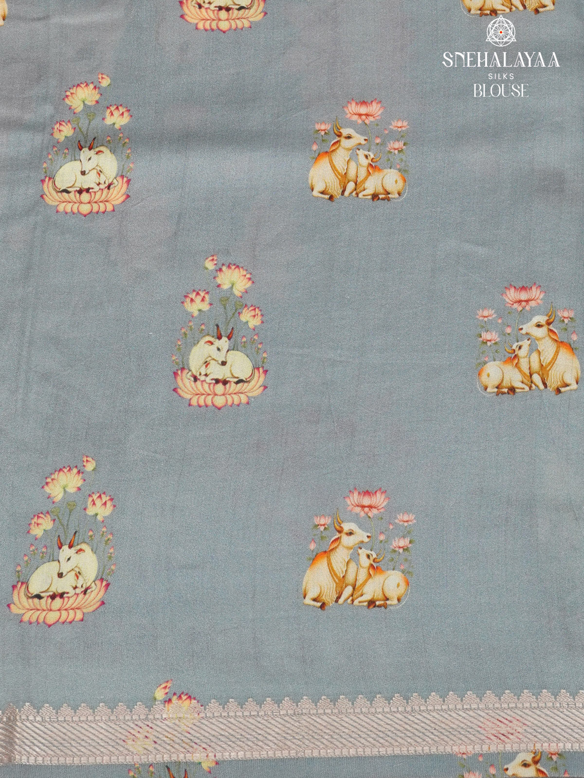 Grey Chiniya Silk Saree