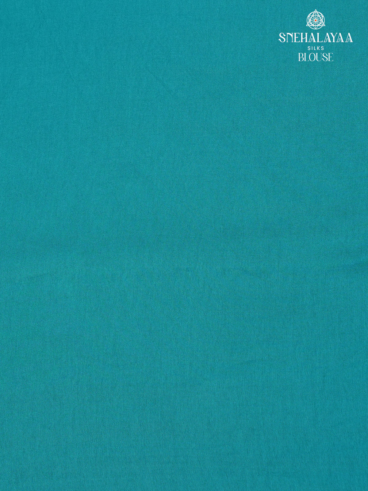 Sky Blue Banaras Silk Saree