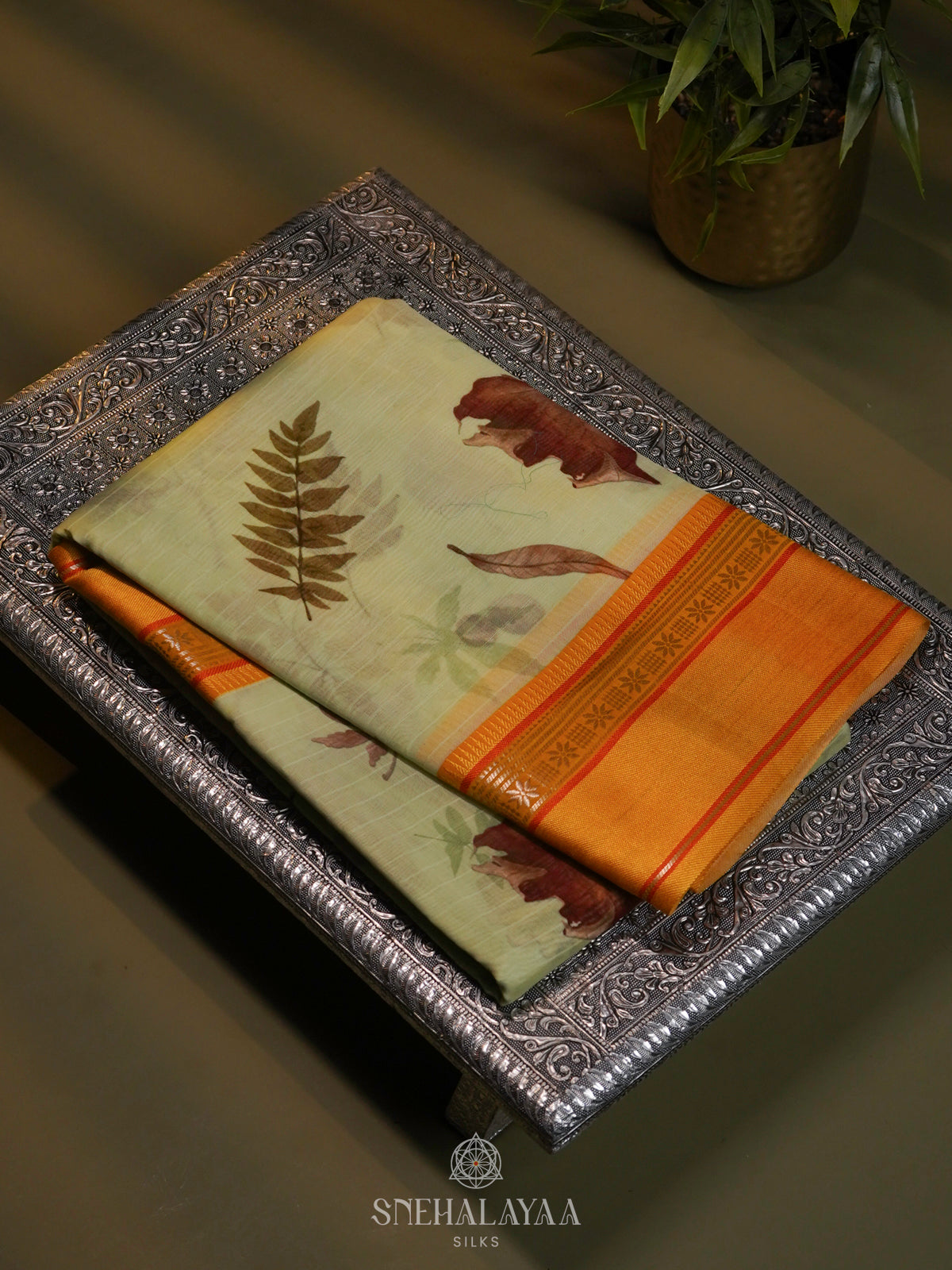 Pale Lime Chanderi Saree