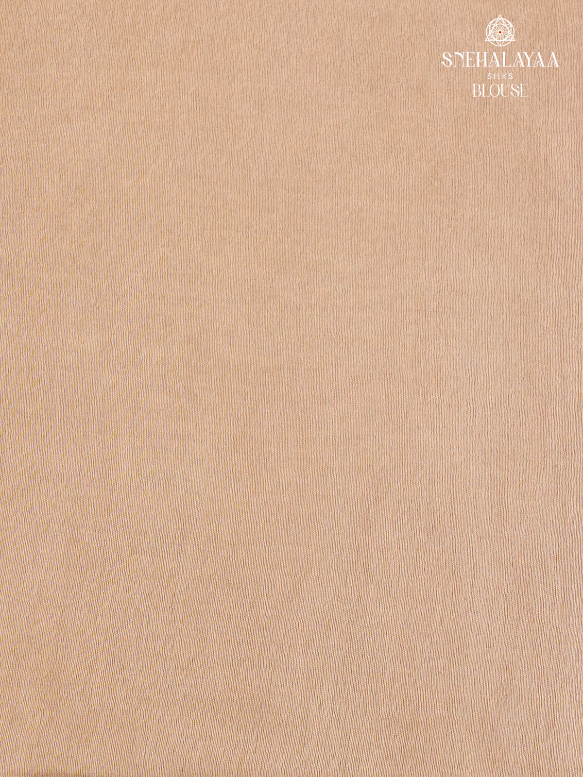 Beige Bamboo Silk Saree