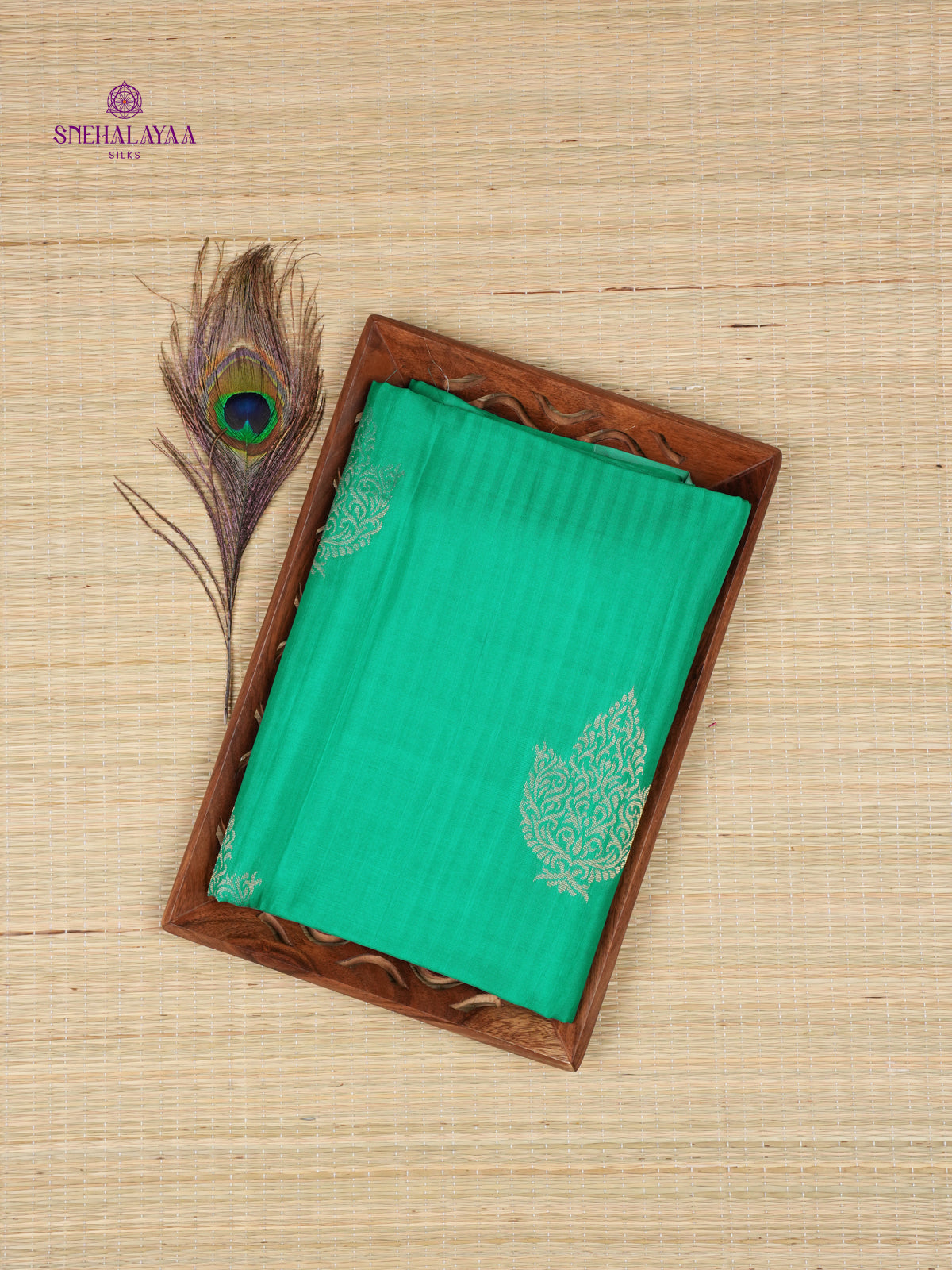Sea Green Borderless Kanjivaram Soft Silk Saree