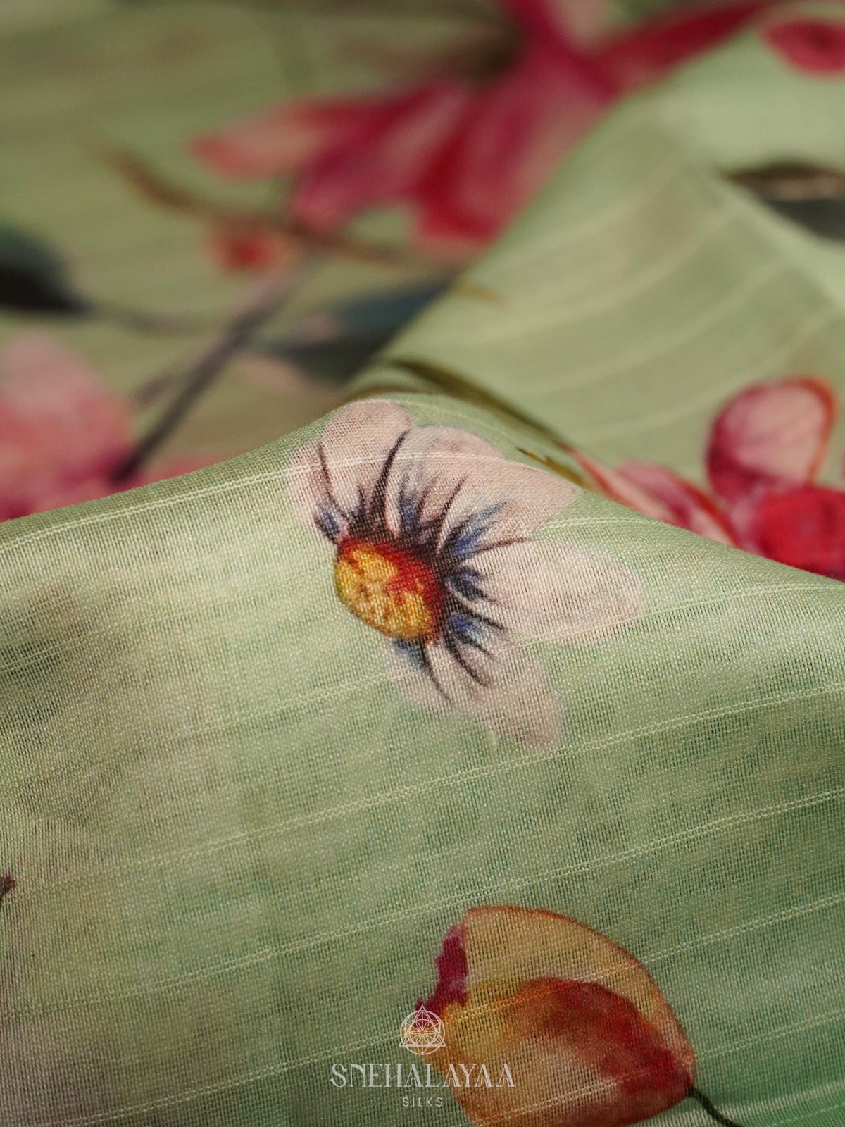 Pale Green Chanderi Saree