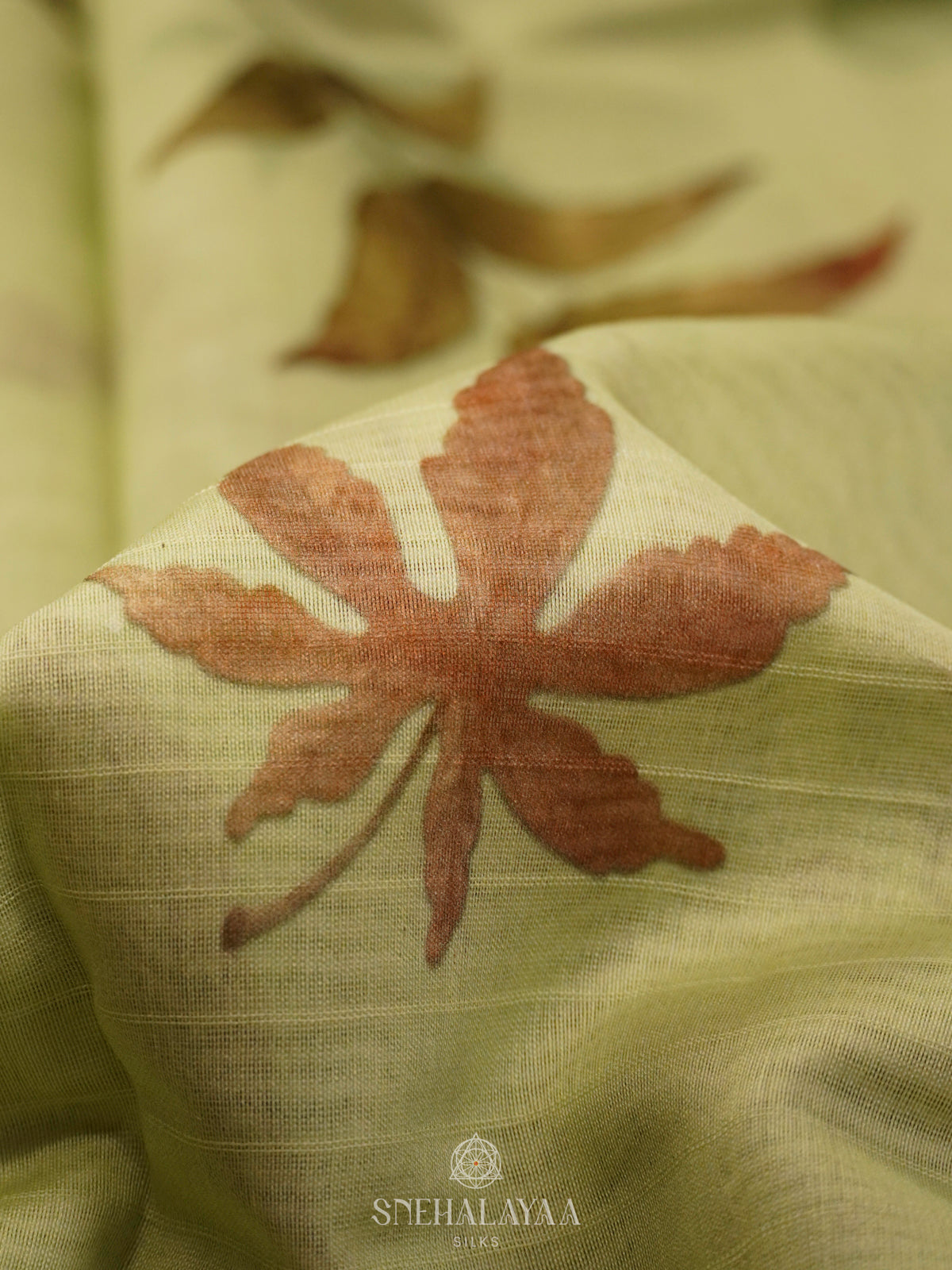 Pale Lime Chanderi Saree