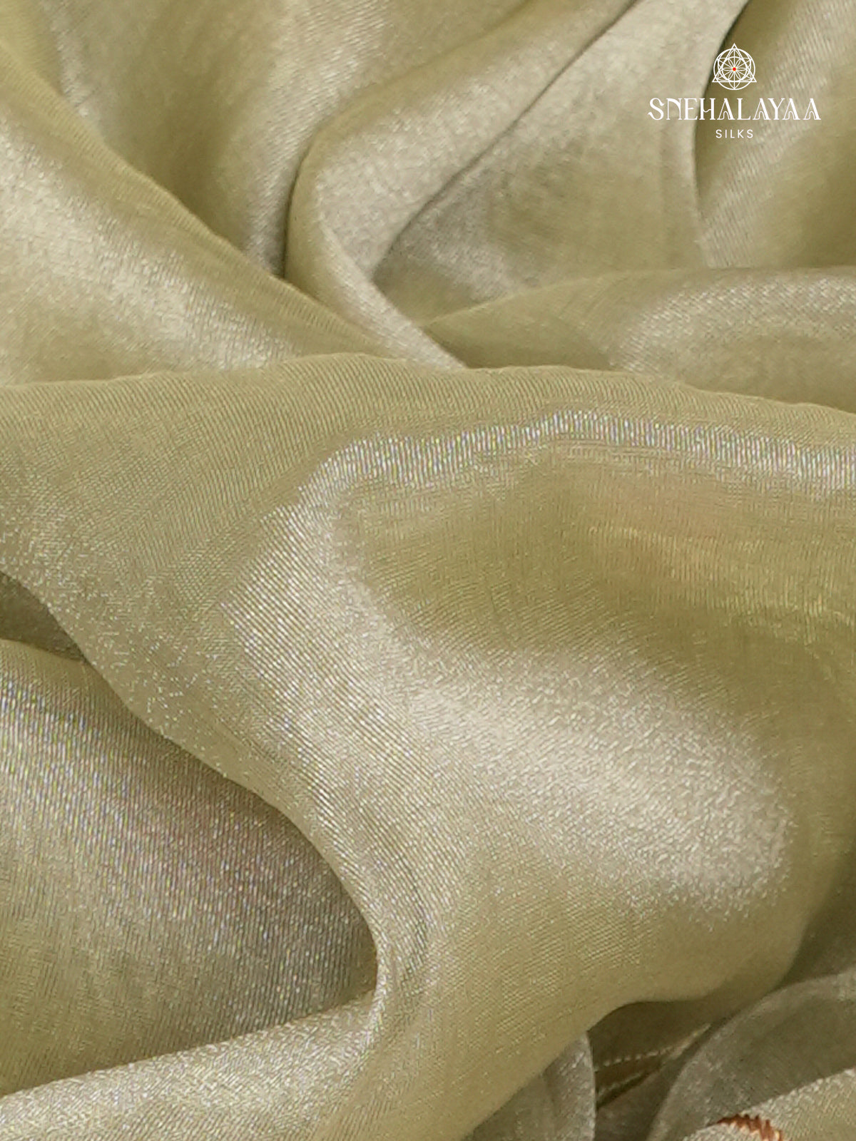 Beige Gold Embroidery Designer Saree