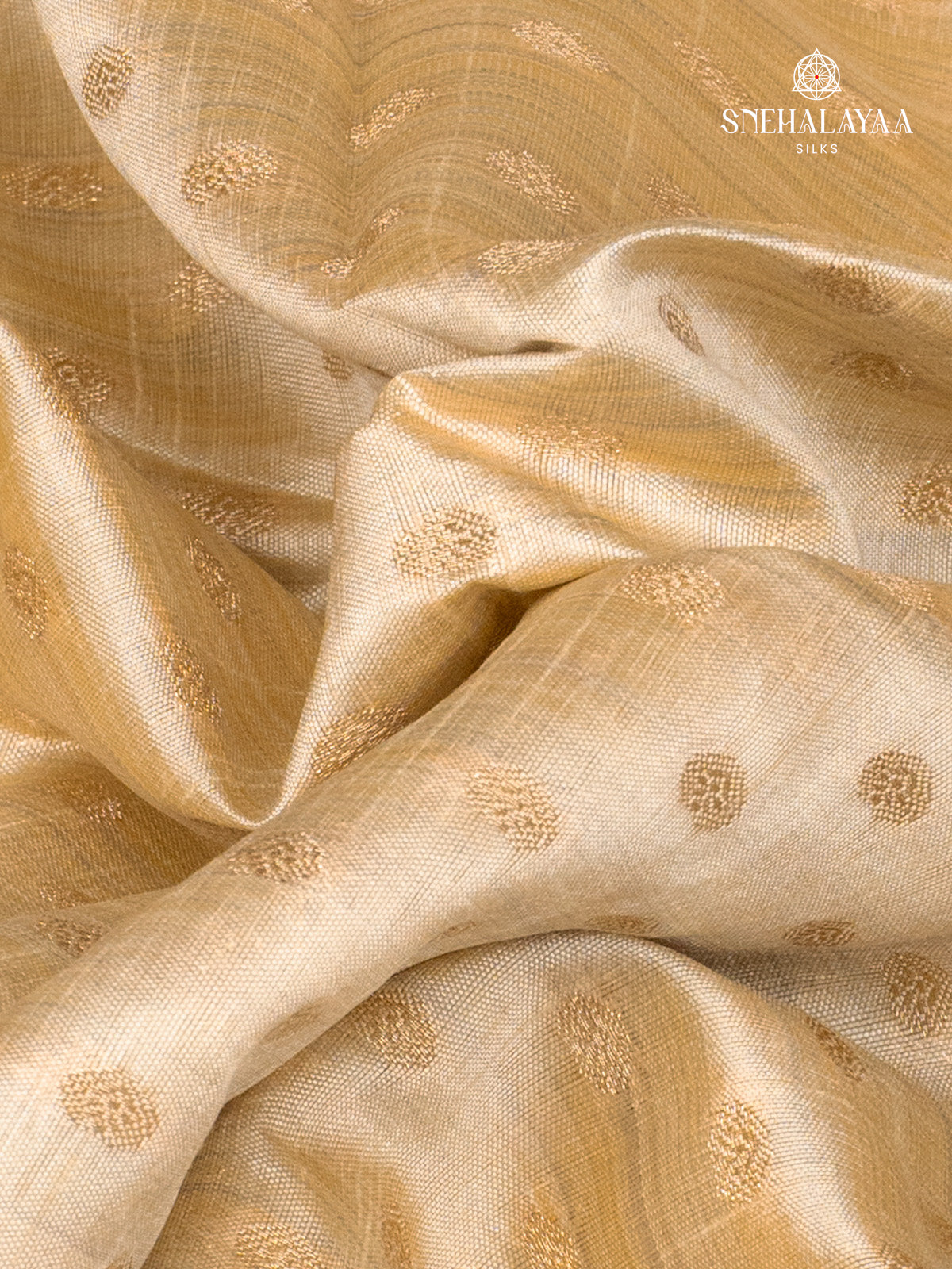 Beige Raw Silk Saree