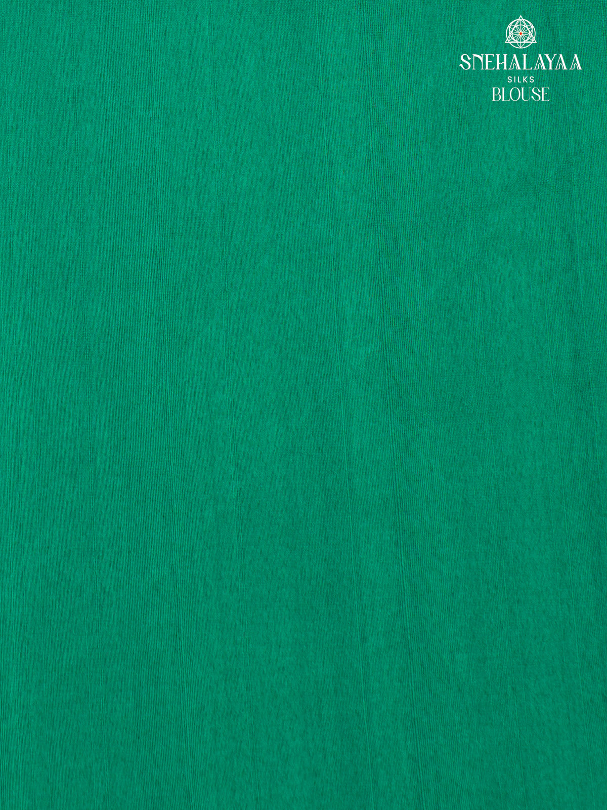 Green Raw Silk Embroidery Saree