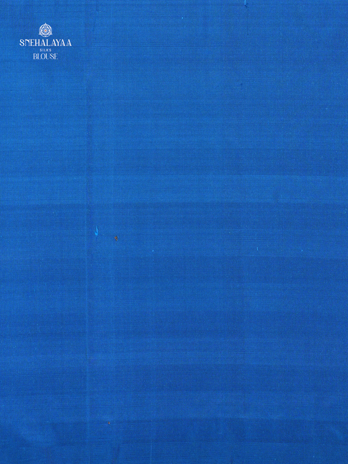 Blue Borderless Kanjivaram Soft Silk Saree