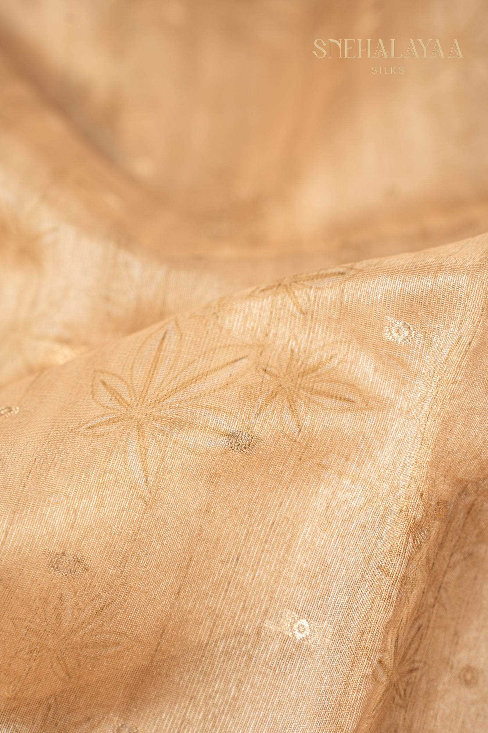 Beige Semi Raw Silk Saree