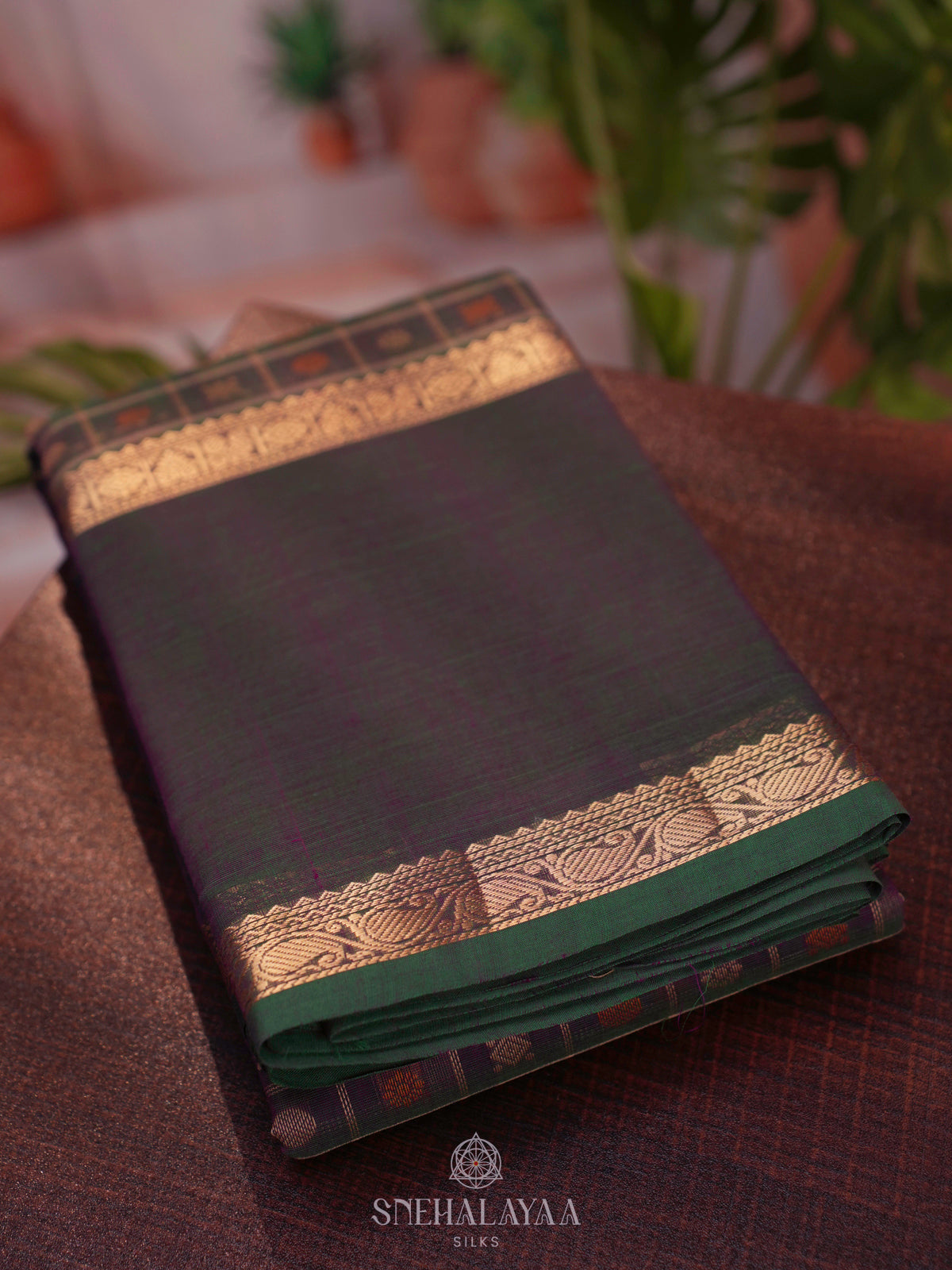 Brown Kanchi Cotton Saree