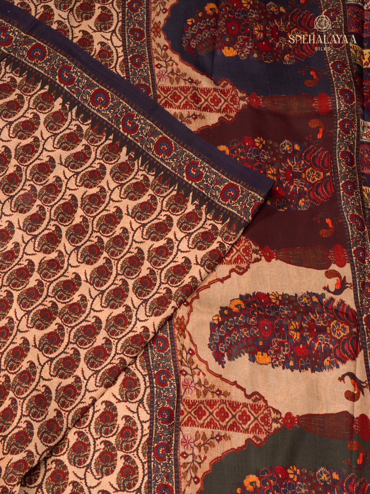Brown Tussar Saree