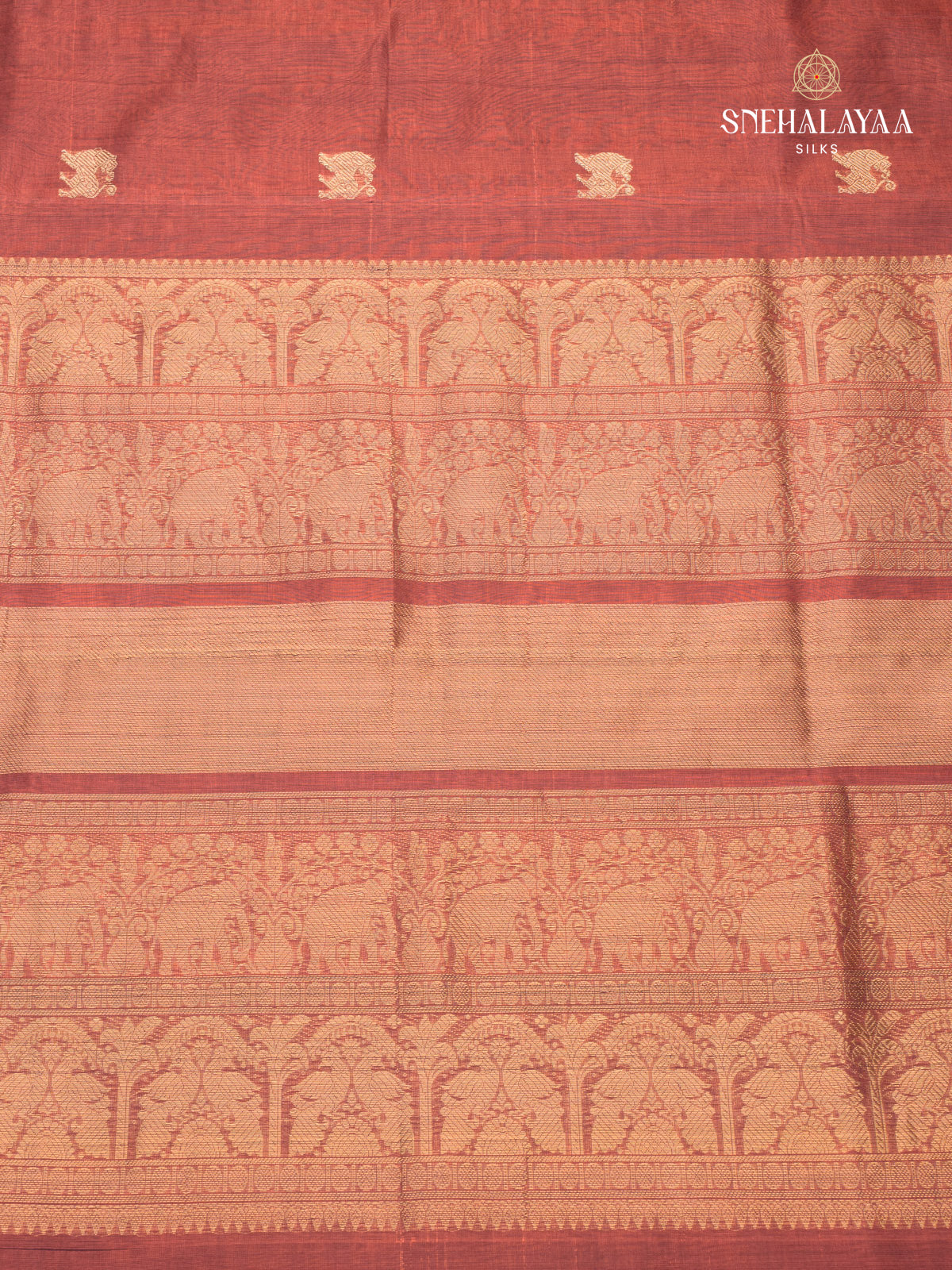 Light Brown Kanchi Silk Cotton Saree