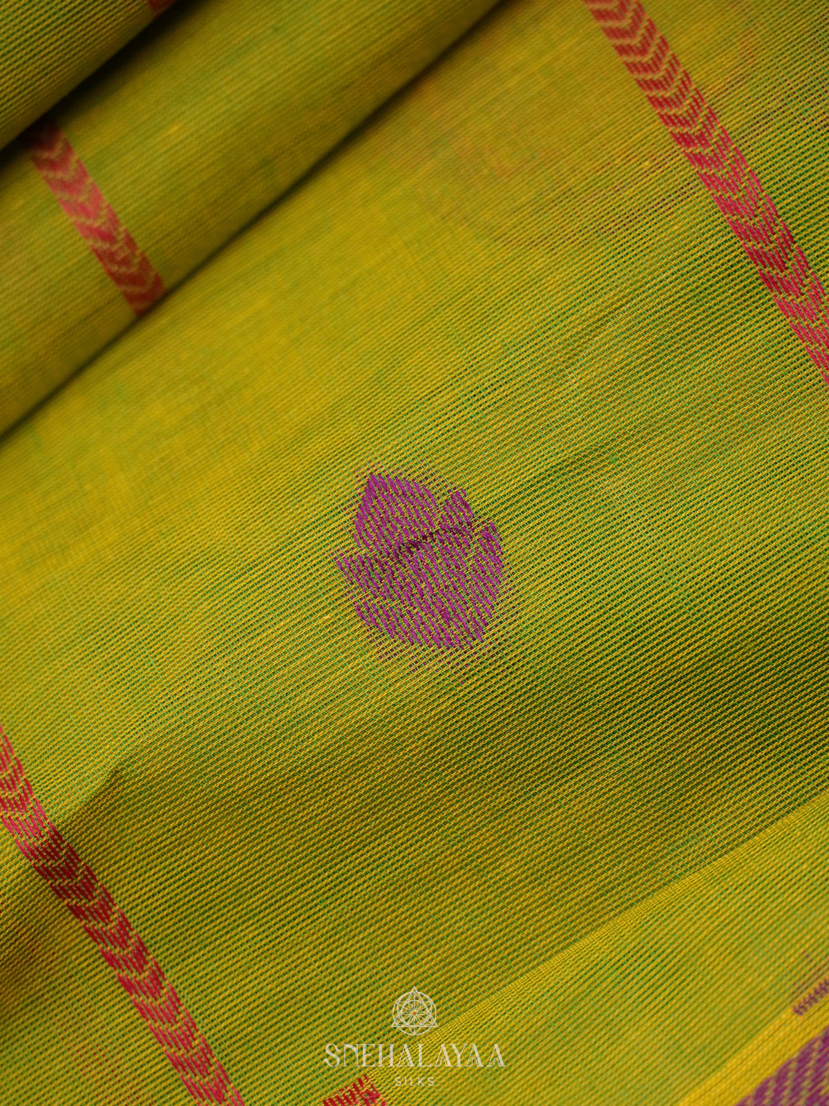 Lime Green Handloom Cotton Saree