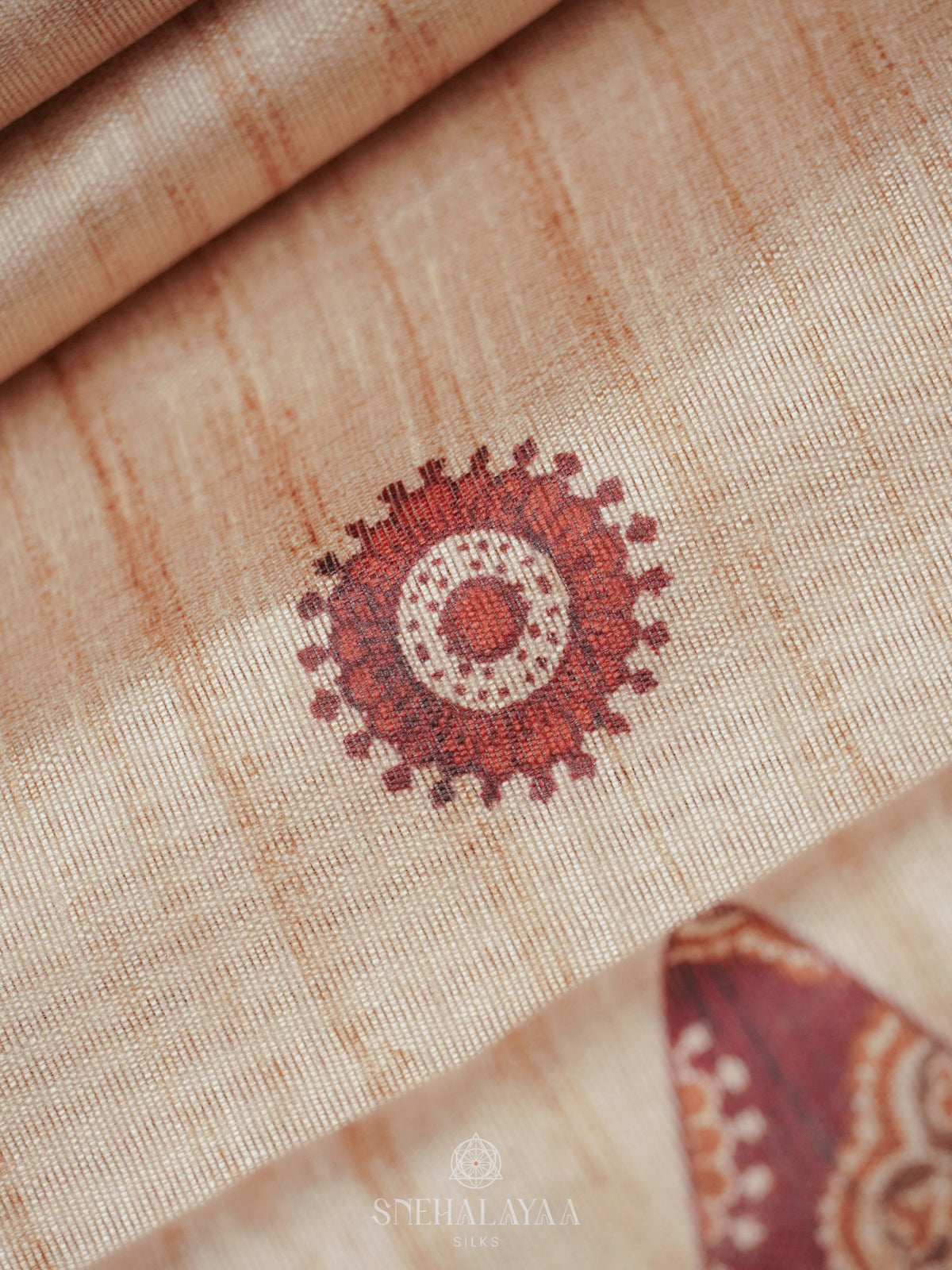 Beige Tussar Saree