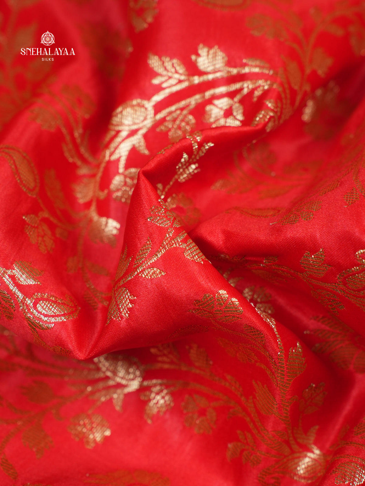 Rust Orange DEsigner Saree